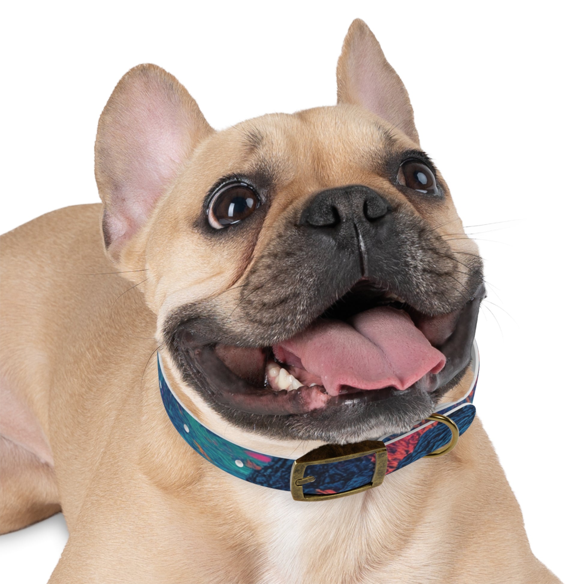 Colorful Dog Collar, Adjustable Pet Accessory, Stylish Dog Leash, Unique Canine Fashion, Trendy Pet Gift, Vibrant Dogwear