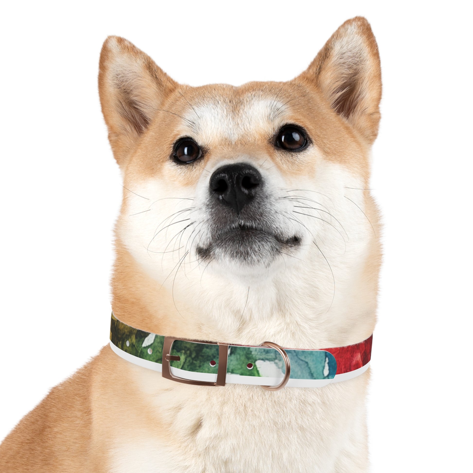 Vibrant Dog Collar for Stylish Pets, Pet Gift, Dog Fashion Accessory, Adjustable Dog Leash, Unique Pet Wear
