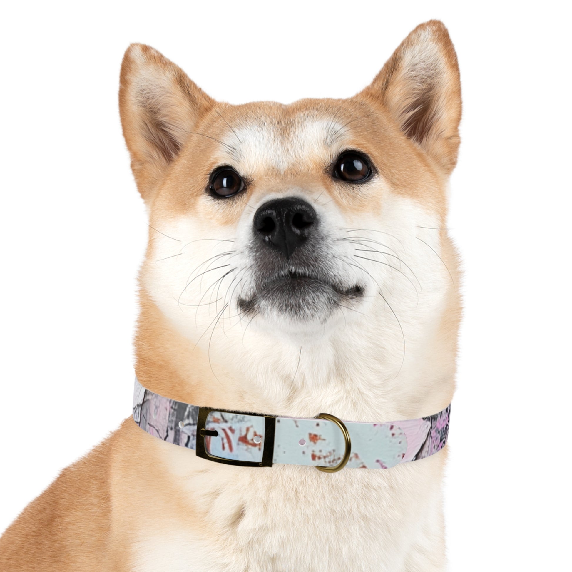 Stylish Dog Collar with Artistic Design, Pet Accessory for Dog Lovers, Customizable Collar for Holidays, Gift for Pets, Unique Pet [...]