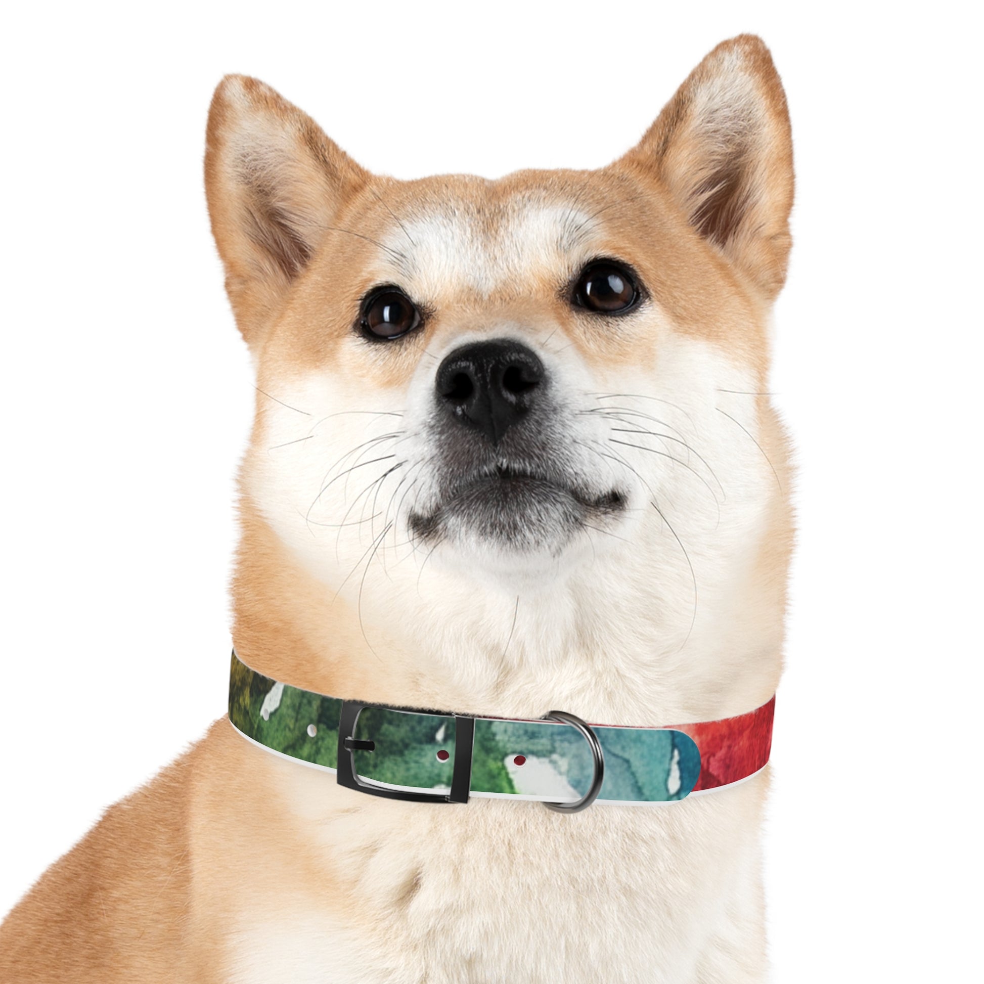 Vibrant Dog Collar for Stylish Pets, Pet Gift, Dog Fashion Accessory, Adjustable Dog Leash, Unique Pet Wear