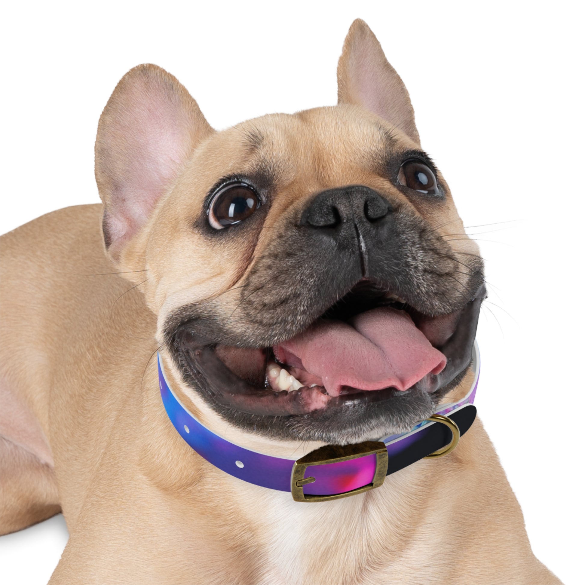 Colorful Artistic Dog Collar, Pet Accessory, Adjustable Collar, Dog Gift, Puppy Fashion, Dog Owner Gift