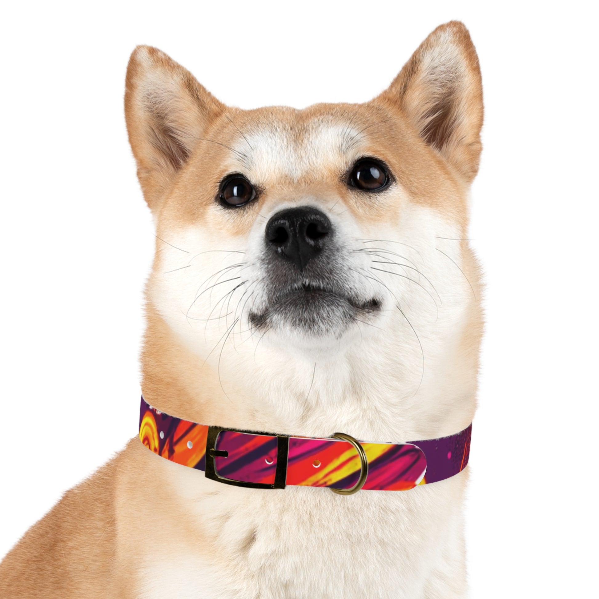 Vibrant Abstract Dog Collar, Colorful Pet Accessory for Dogs, Stylish Dog Gear, Fun Pet Collar, Gift for Dog Lovers