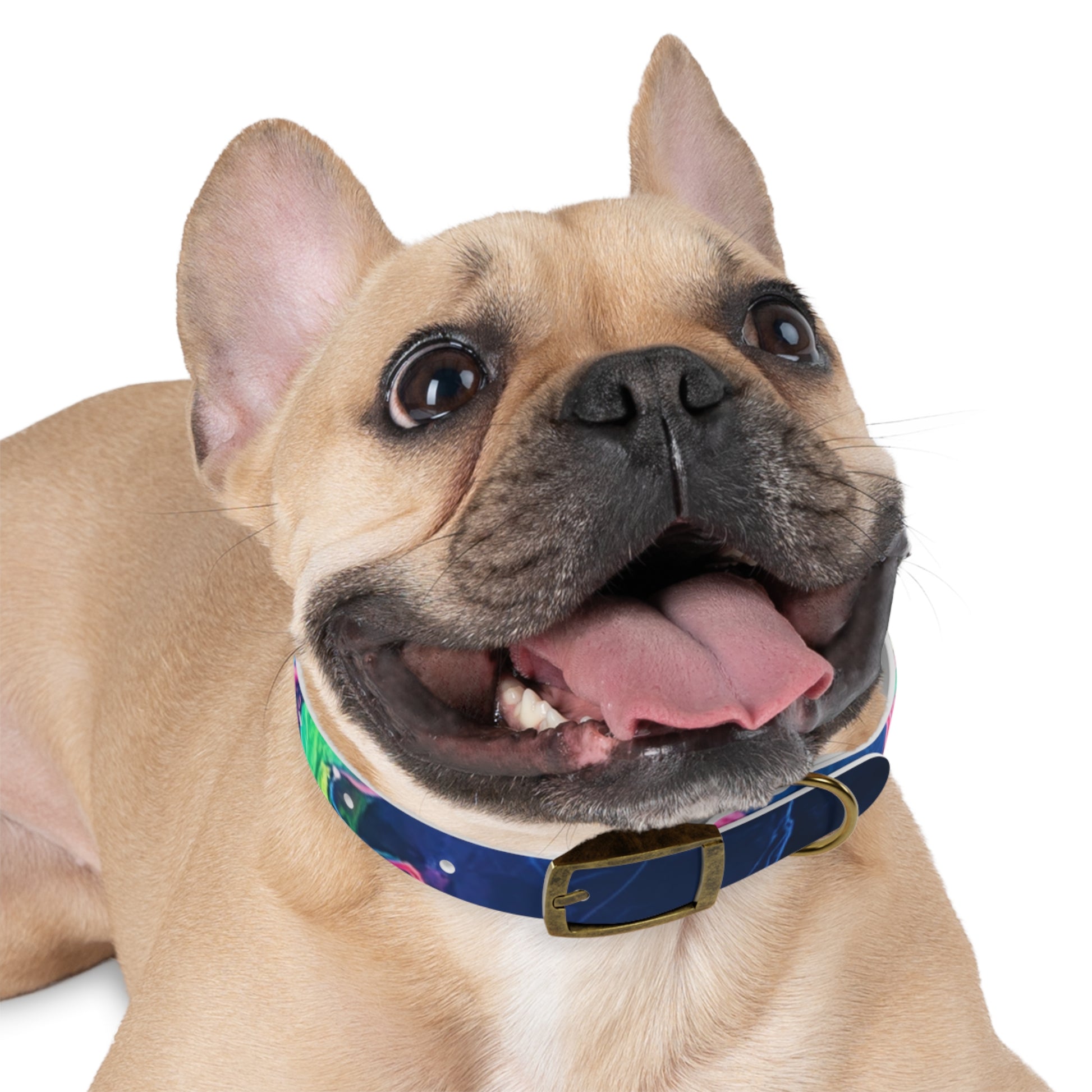 Colorful Dog Collar, Custom Pet Accessories, Eco-Friendly Dog Gear, Dog Lovers Gift, Vibrant Canine Fashion