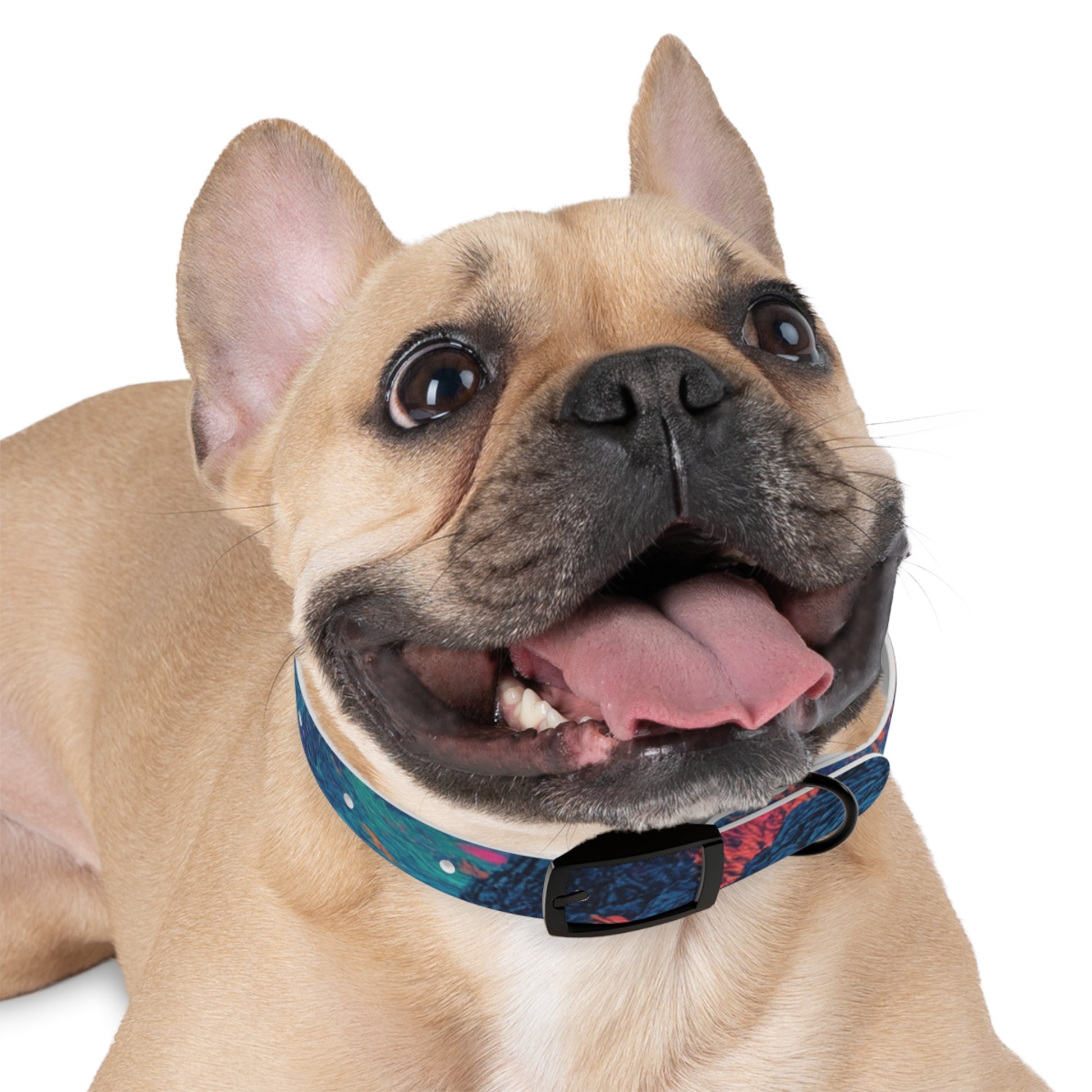 Colorful Dog Collar, Adjustable Pet Accessory, Stylish Dog Leash, Unique Canine Fashion, Trendy Pet Gift, Vibrant Dogwear