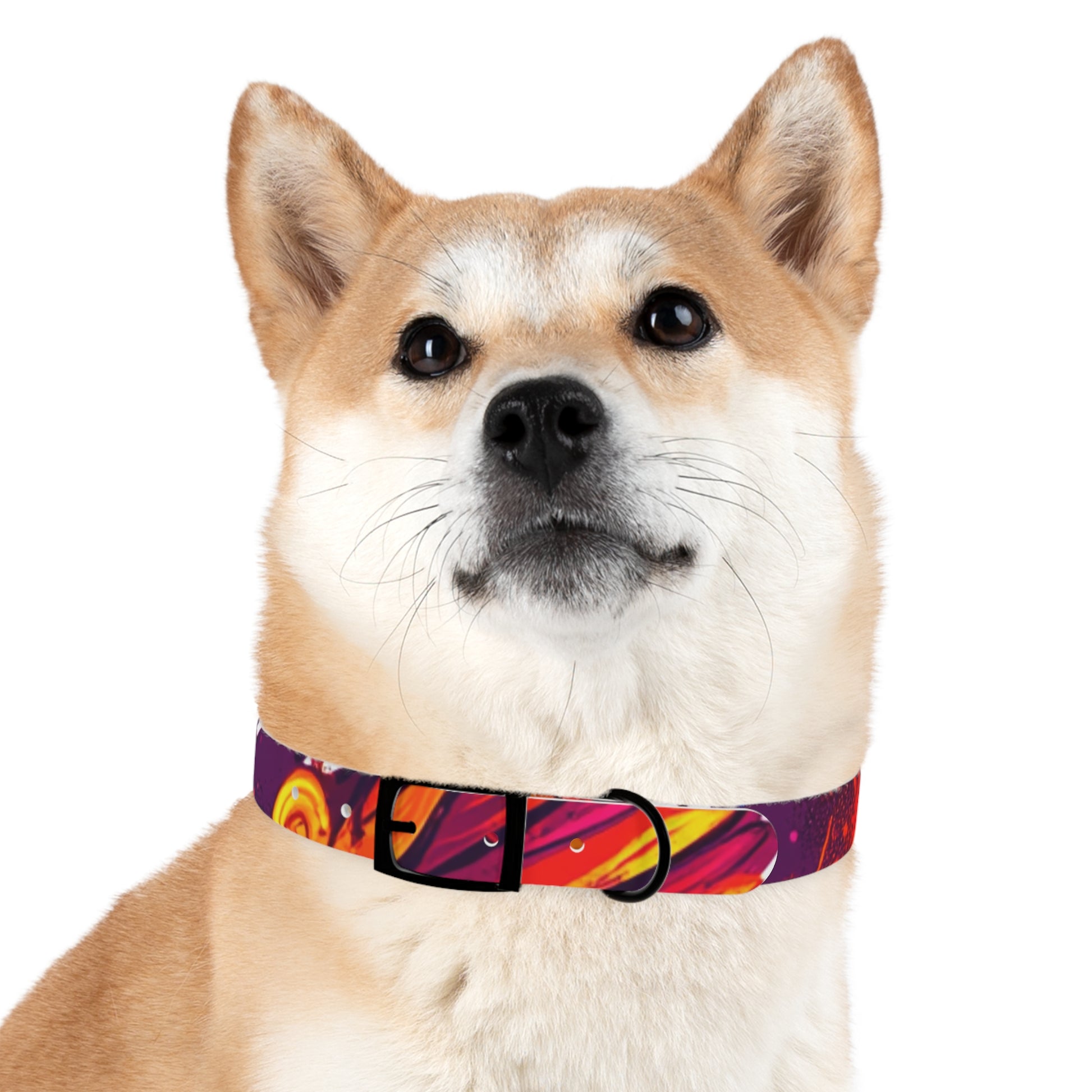Vibrant Abstract Dog Collar, Colorful Pet Accessory for Dogs, Stylish Dog Gear, Fun Pet Collar, Gift for Dog Lovers