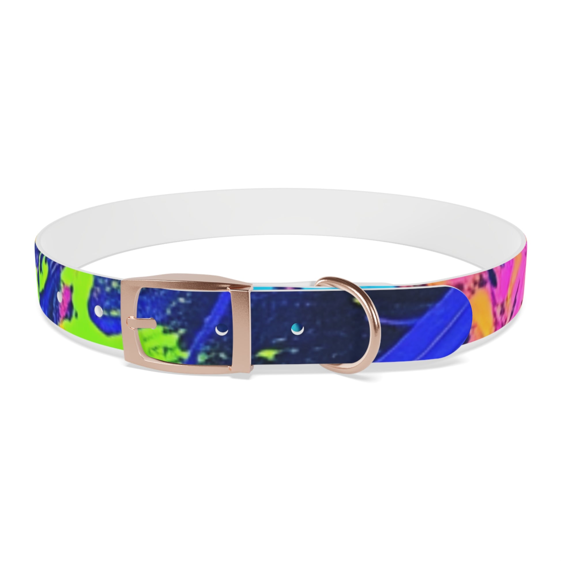 Vibrant Dog Collar - Adjustable Pet Accessory, Colorful Pet Collar for Small and Large Dogs, Fun Dog Gear, Unique Dog Gift, Pet Fashion