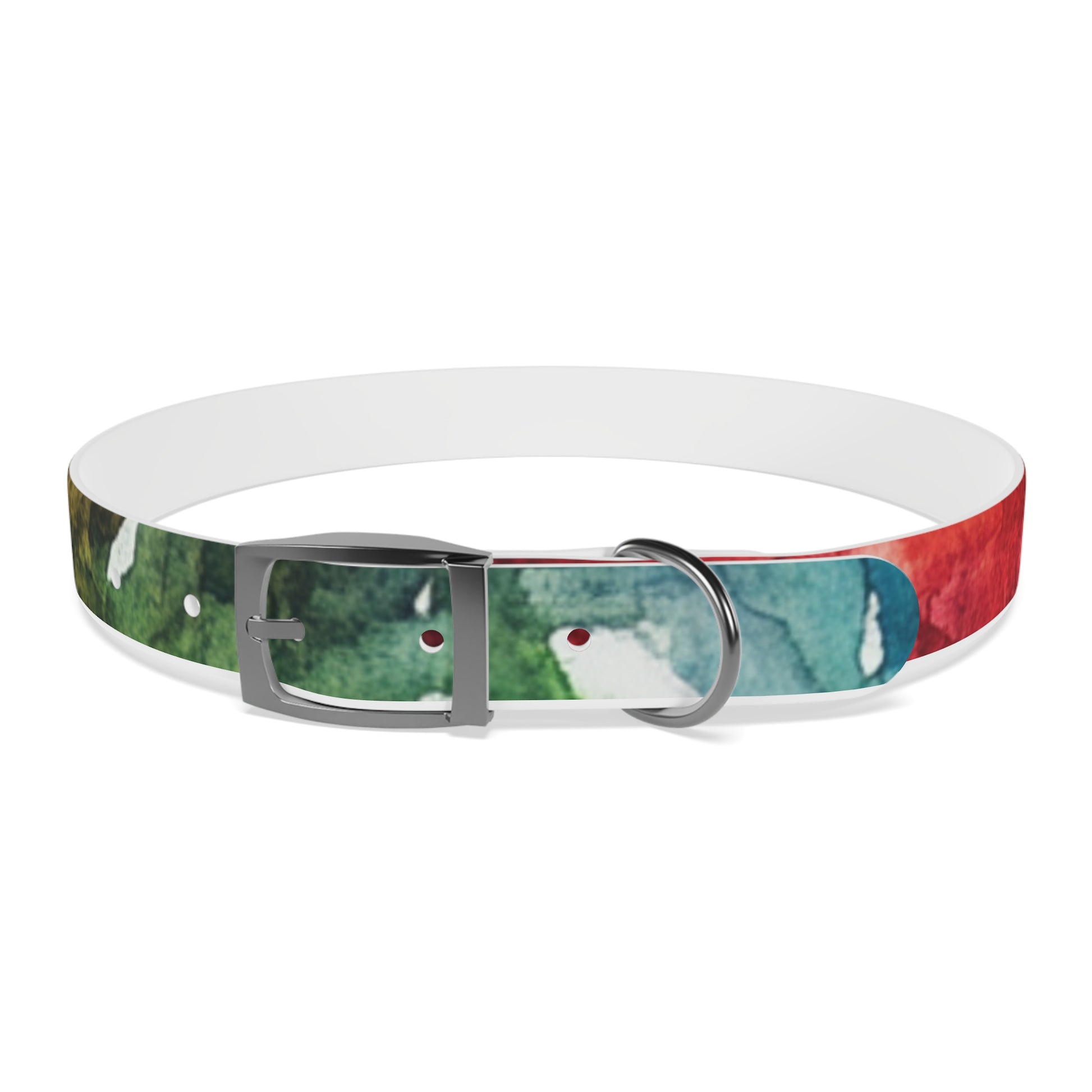 Vibrant Dog Collar for Stylish Pets, Pet Gift, Dog Fashion Accessory, Adjustable Dog Leash, Unique Pet Wear