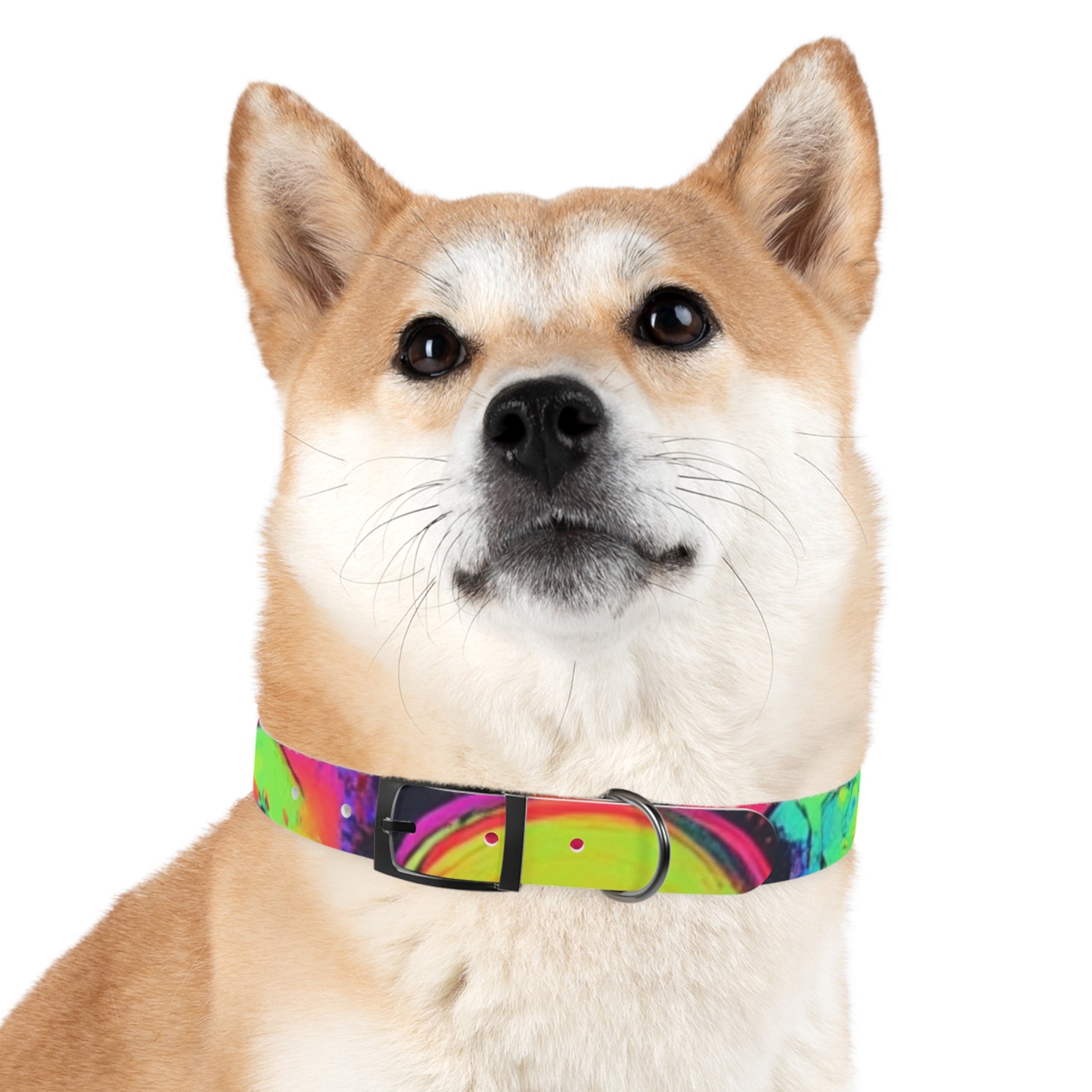 Vibrant Dog Collar, Colorful Pet Accessory for Stylish Dogs, Perfect for Dog Lovers, Gift for Pet Owners, Unique Dog Fashion