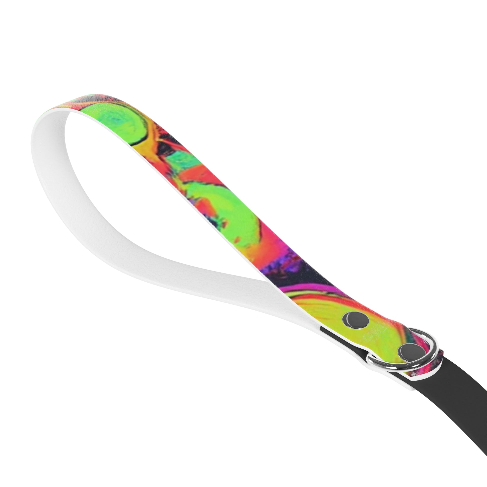 Vibrant Dog Leash, Colorful Pet Leash, Dog Walking Accessory, Fun Dog Leash, Pet Gift Idea, Stylish Leash for Dogs