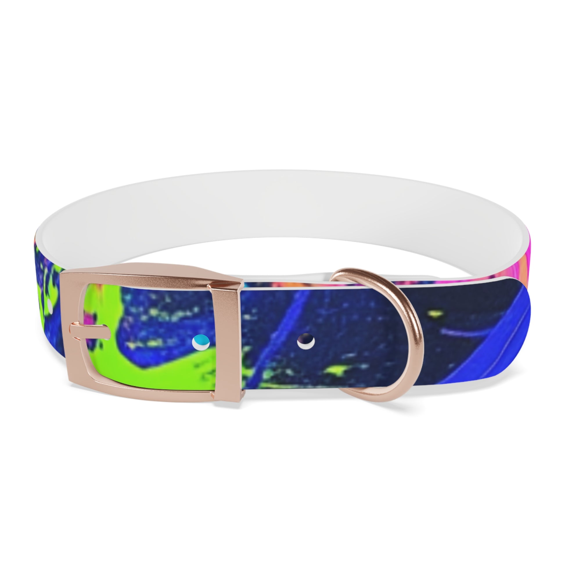 Vibrant Dog Collar - Adjustable Pet Accessory, Colorful Pet Collar for Small and Large Dogs, Fun Dog Gear, Unique Dog Gift, Pet Fashion