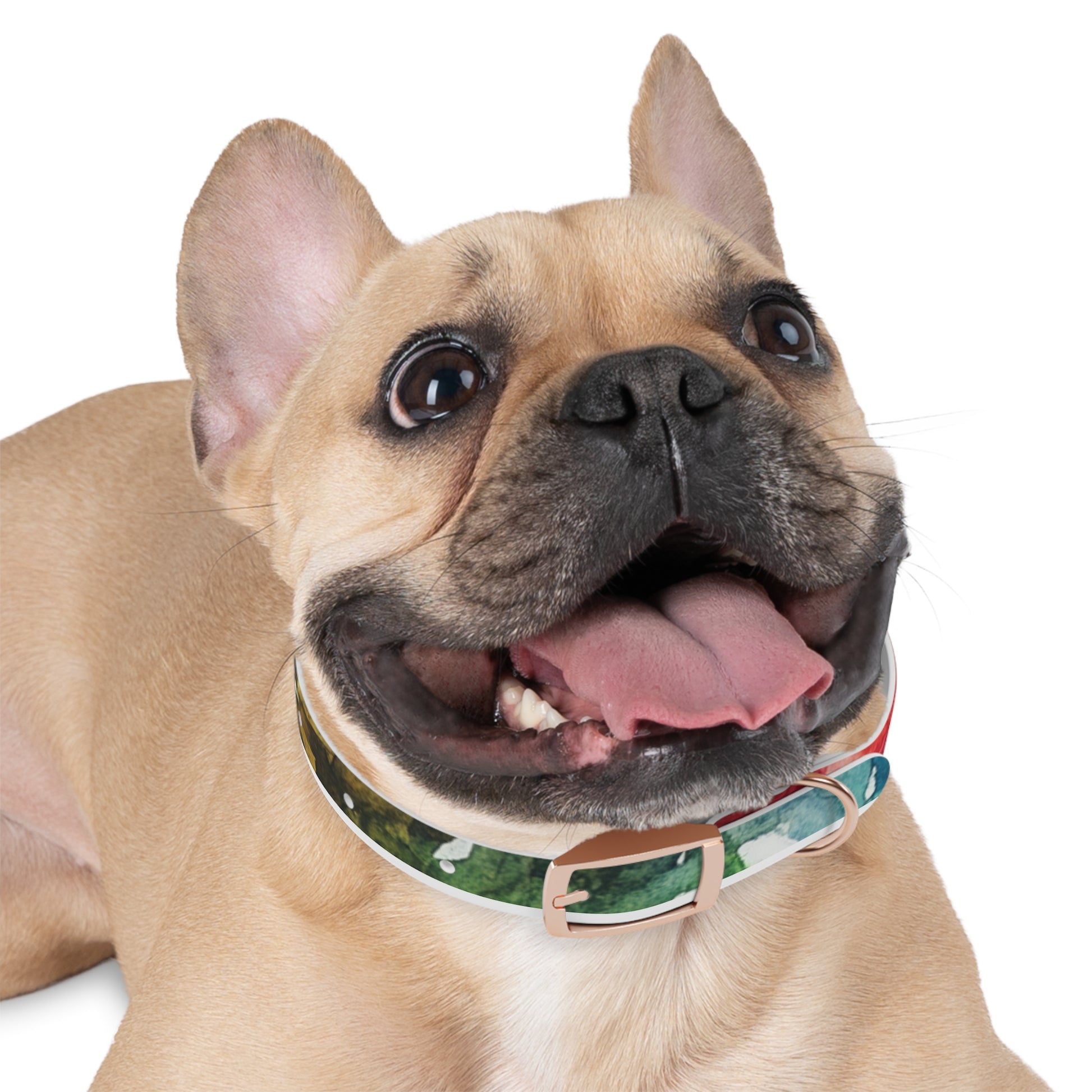 Vibrant Dog Collar for Stylish Pets, Pet Gift, Dog Fashion Accessory, Adjustable Dog Leash, Unique Pet Wear