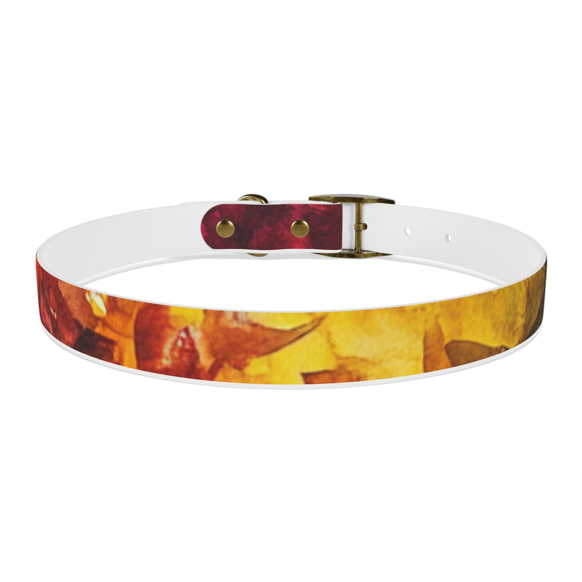 Vibrant Dog Collar for Stylish Pets, Pet Gift, Dog Fashion Accessory, Adjustable Dog Leash, Unique Pet Wear
