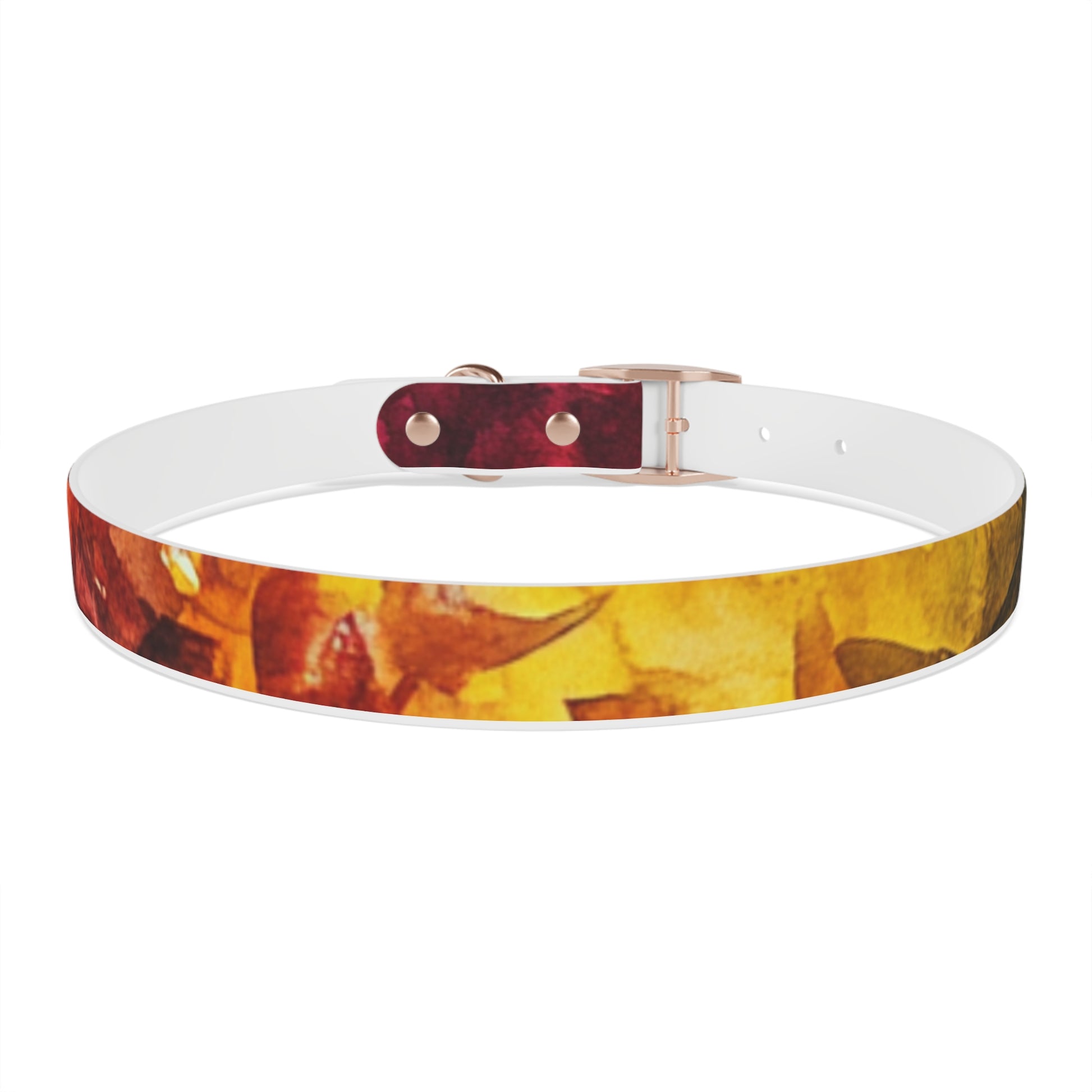 Vibrant Dog Collar for Stylish Pets, Pet Gift, Dog Fashion Accessory, Adjustable Dog Leash, Unique Pet Wear