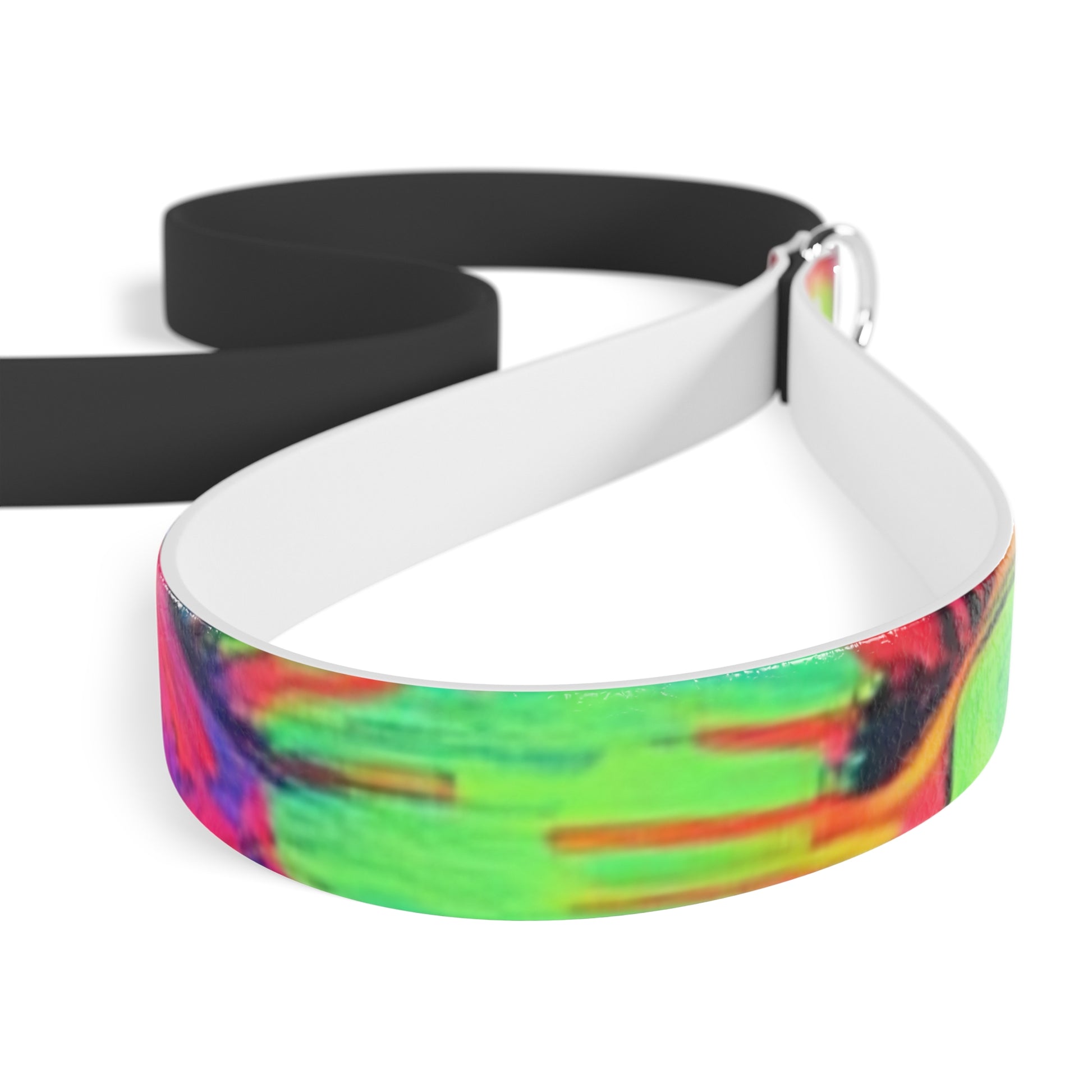 Vibrant Dog Leash, Colorful Pet Leash, Dog Walking Accessory, Fun Dog Leash, Pet Gift Idea, Stylish Leash for Dogs