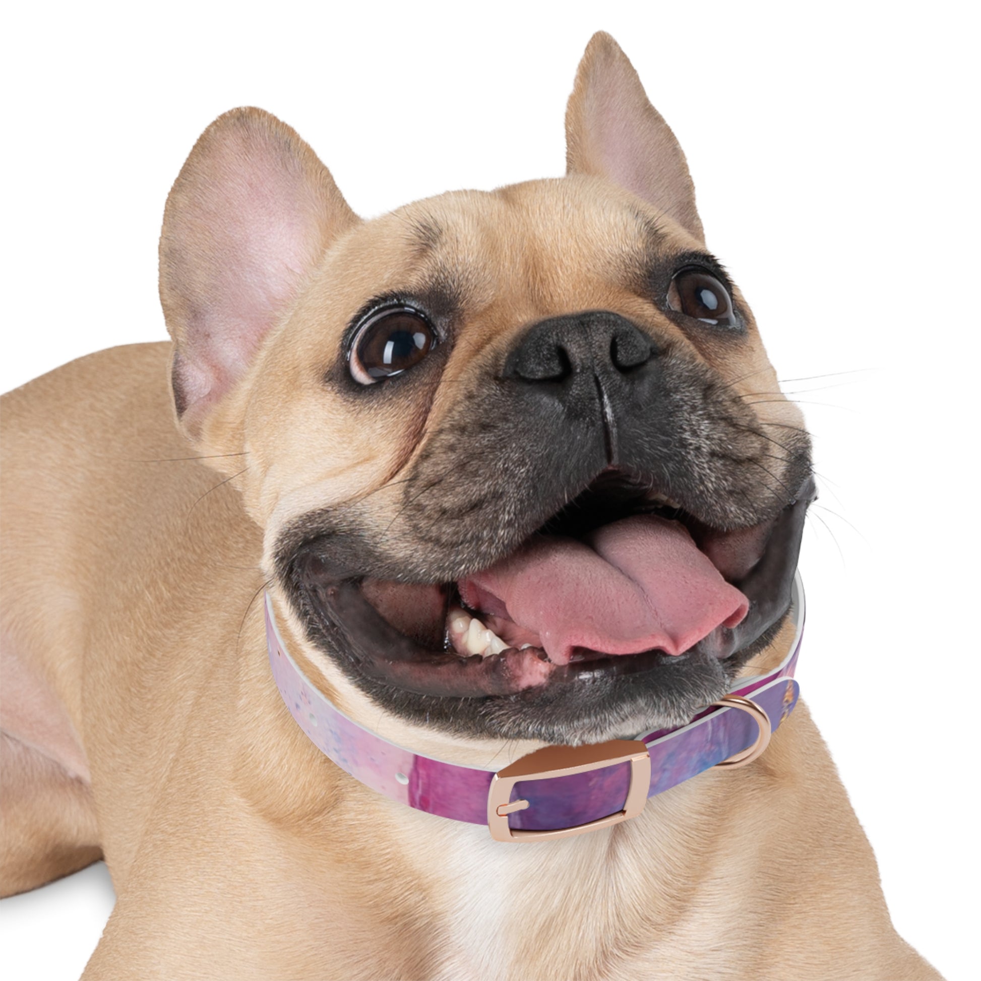 Colorful Cosmic Dog Collar, Stylish Pet Accessory for Dog Lovers, Unique Puppy Gift, Galaxy Print Collar for Special Occasions