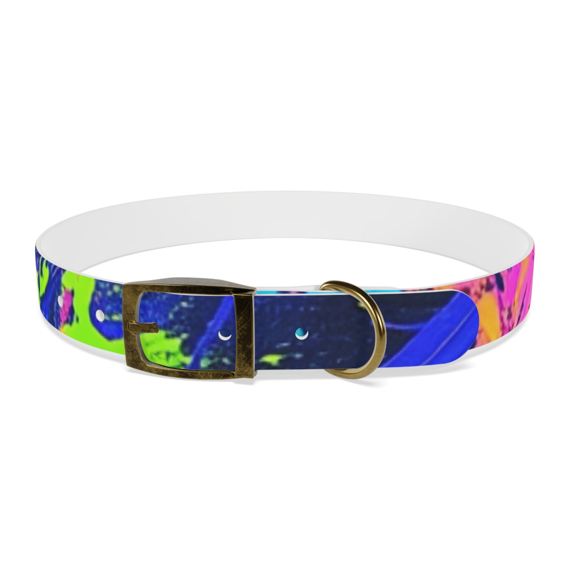 Vibrant Dog Collar - Adjustable Pet Accessory, Colorful Pet Collar for Small and Large Dogs, Fun Dog Gear, Unique Dog Gift, Pet Fashion
