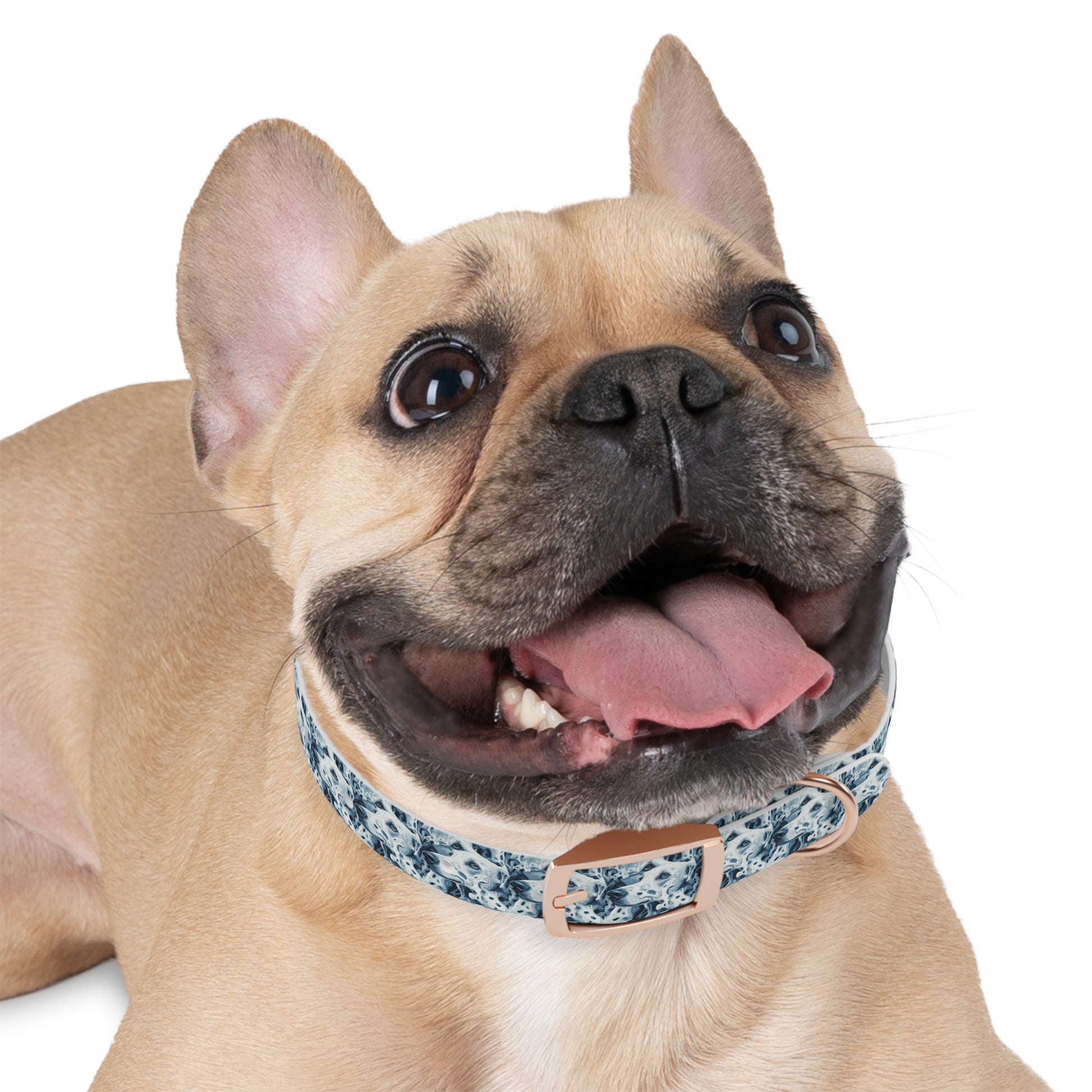 Stylish Dog Collar - Personalized Pet Accessory, Adjustable Pet Collar, Dog Fashion, Gifts for Dog Lovers, Unique Dog Gifts