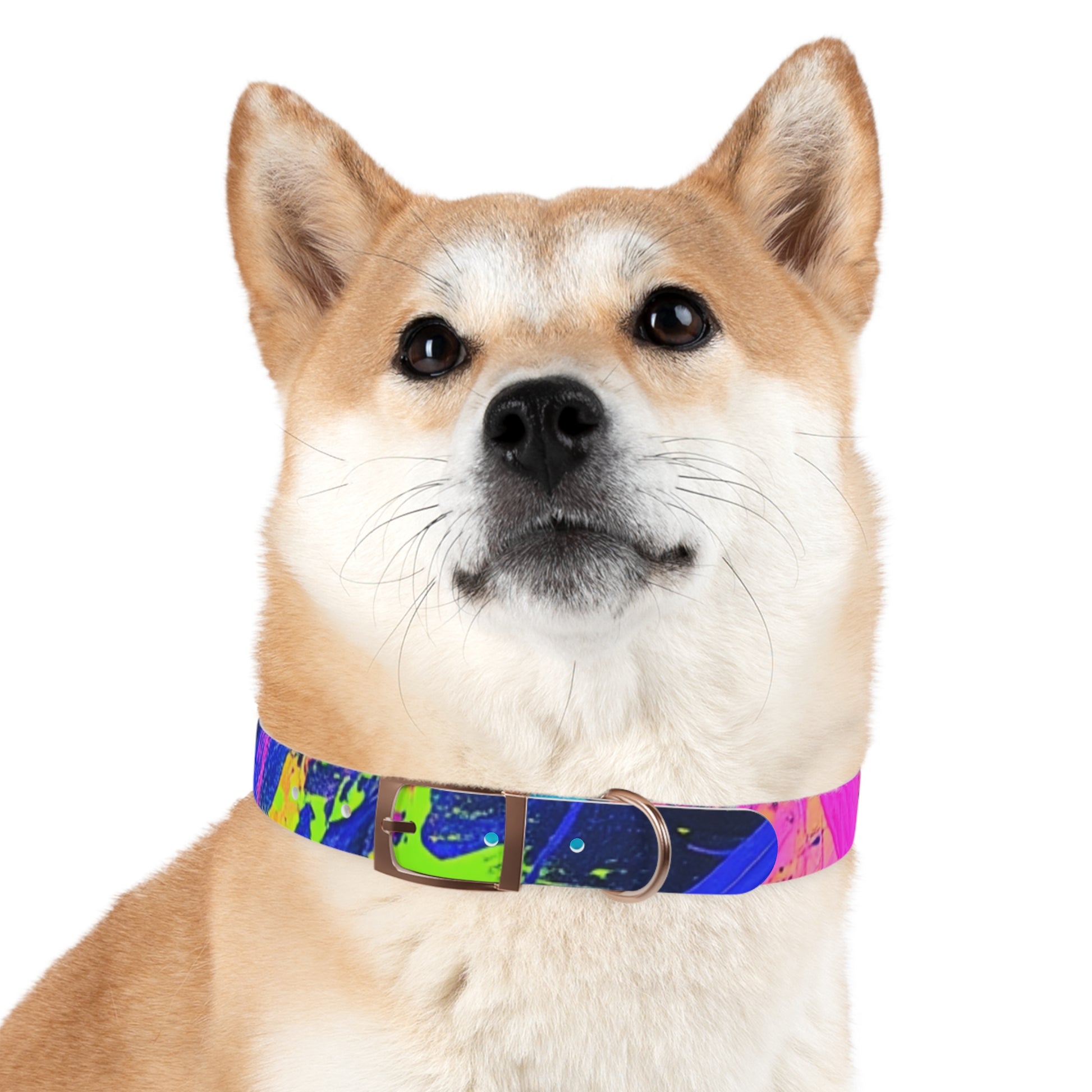 Vibrant Dog Collar - Adjustable Pet Accessory, Colorful Pet Collar for Small and Large Dogs, Fun Dog Gear, Unique Dog Gift, Pet Fashion