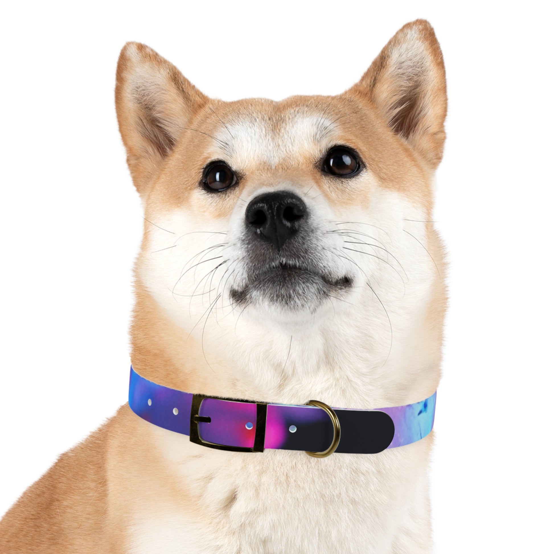 Colorful Artistic Dog Collar, Pet Accessory, Adjustable Collar, Dog Gift, Puppy Fashion, Dog Owner Gift