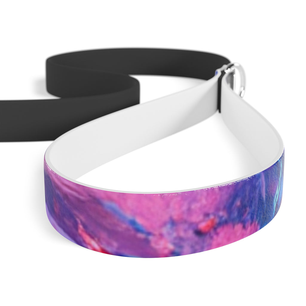 Vibrant Dog Leash, Colorful Pet Leash, Unique Leash for Walking, Durable Dog Walking Accessory, Stylish Dog Owner Gift