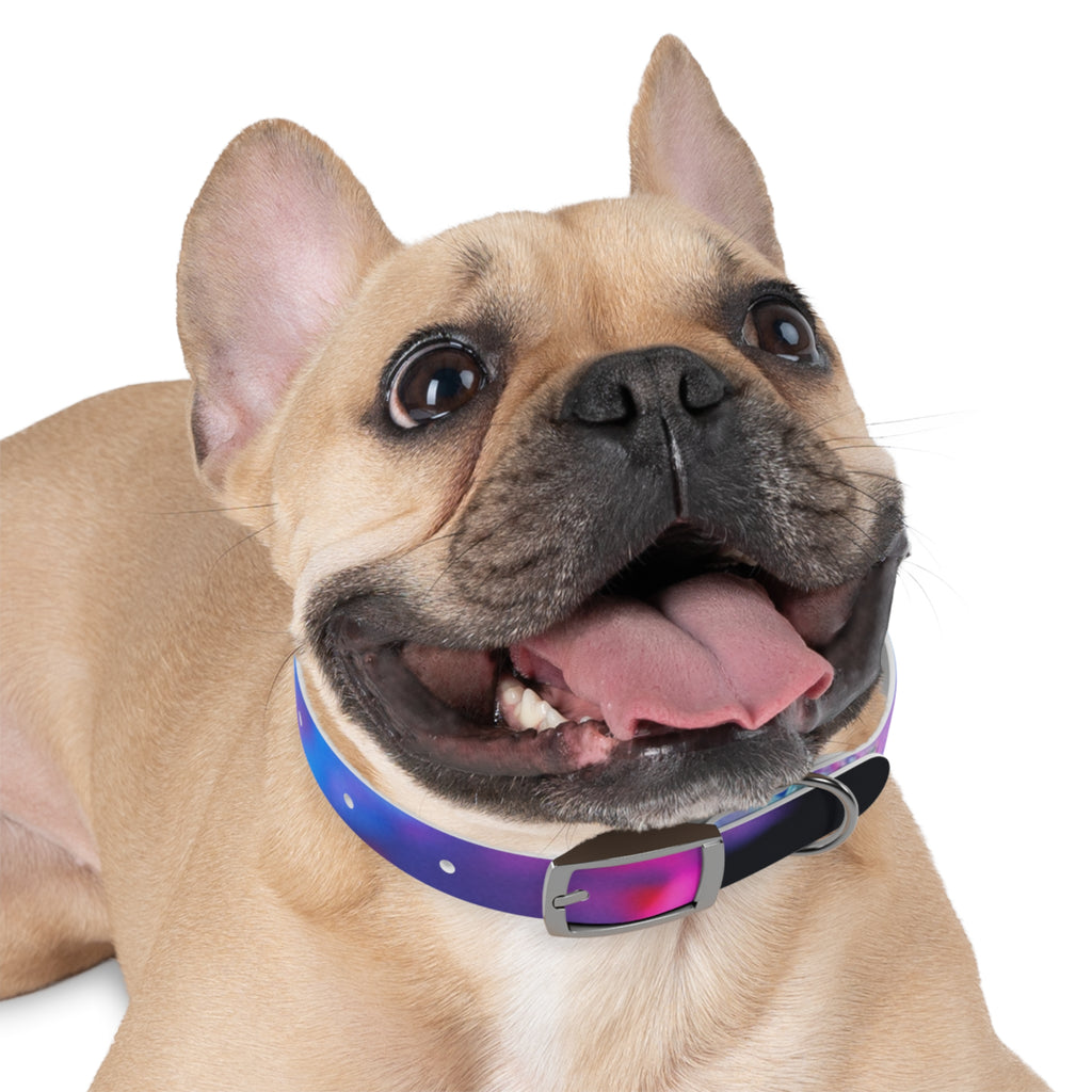 Colorful Artistic Dog Collar, Pet Accessory, Adjustable Collar, Dog Gift, Puppy Fashion, Dog Owner Gift