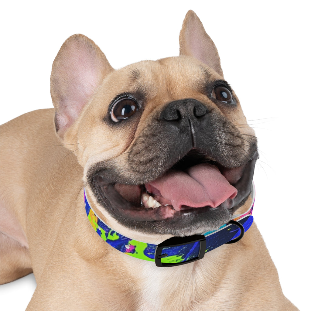 Vibrant Dog Collar - Adjustable Pet Accessory, Colorful Pet Collar for Small and Large Dogs, Fun Dog Gear, Unique Dog Gift, Pet Fashion