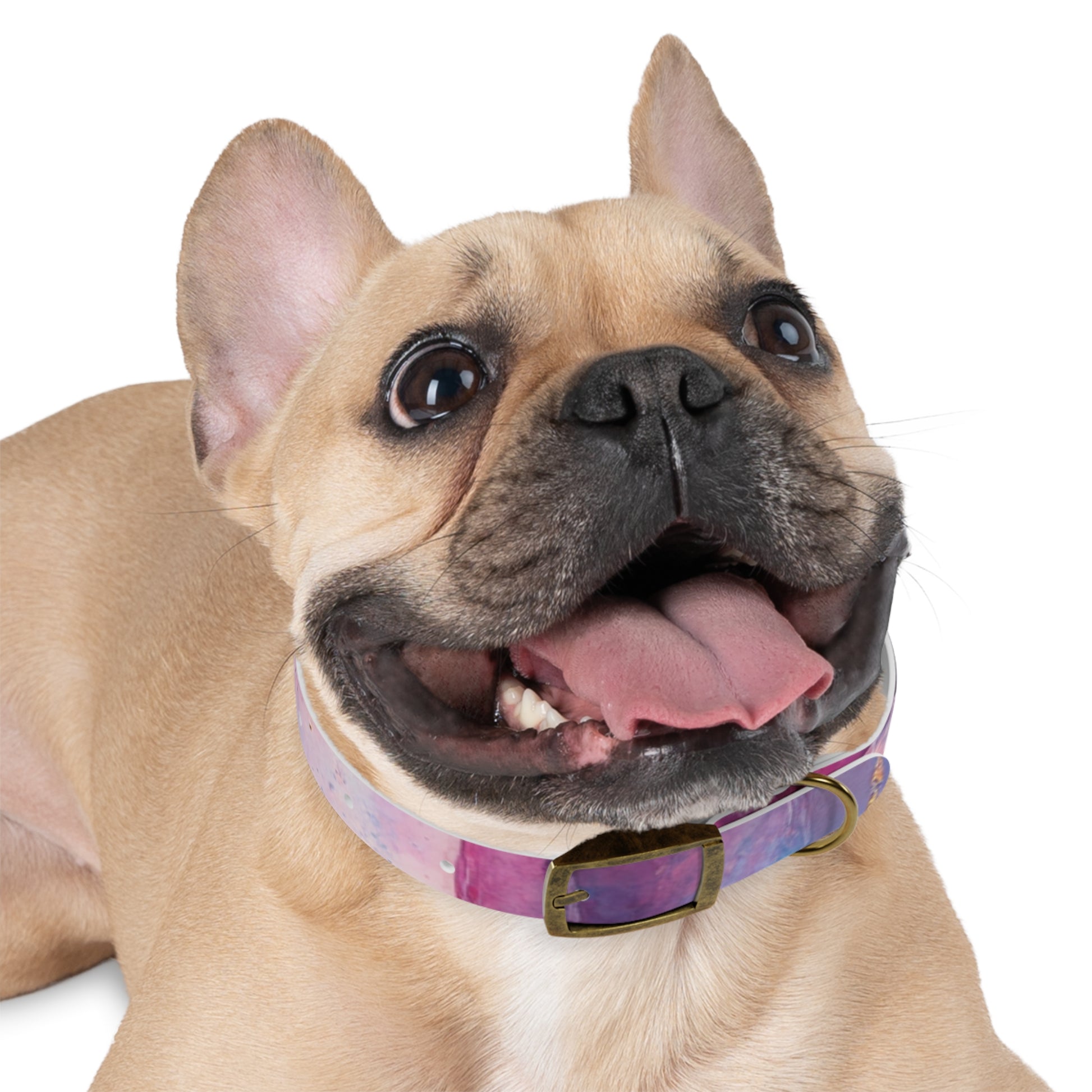 Colorful Cosmic Dog Collar, Stylish Pet Accessory for Dog Lovers, Unique Puppy Gift, Galaxy Print Collar for Special Occasions