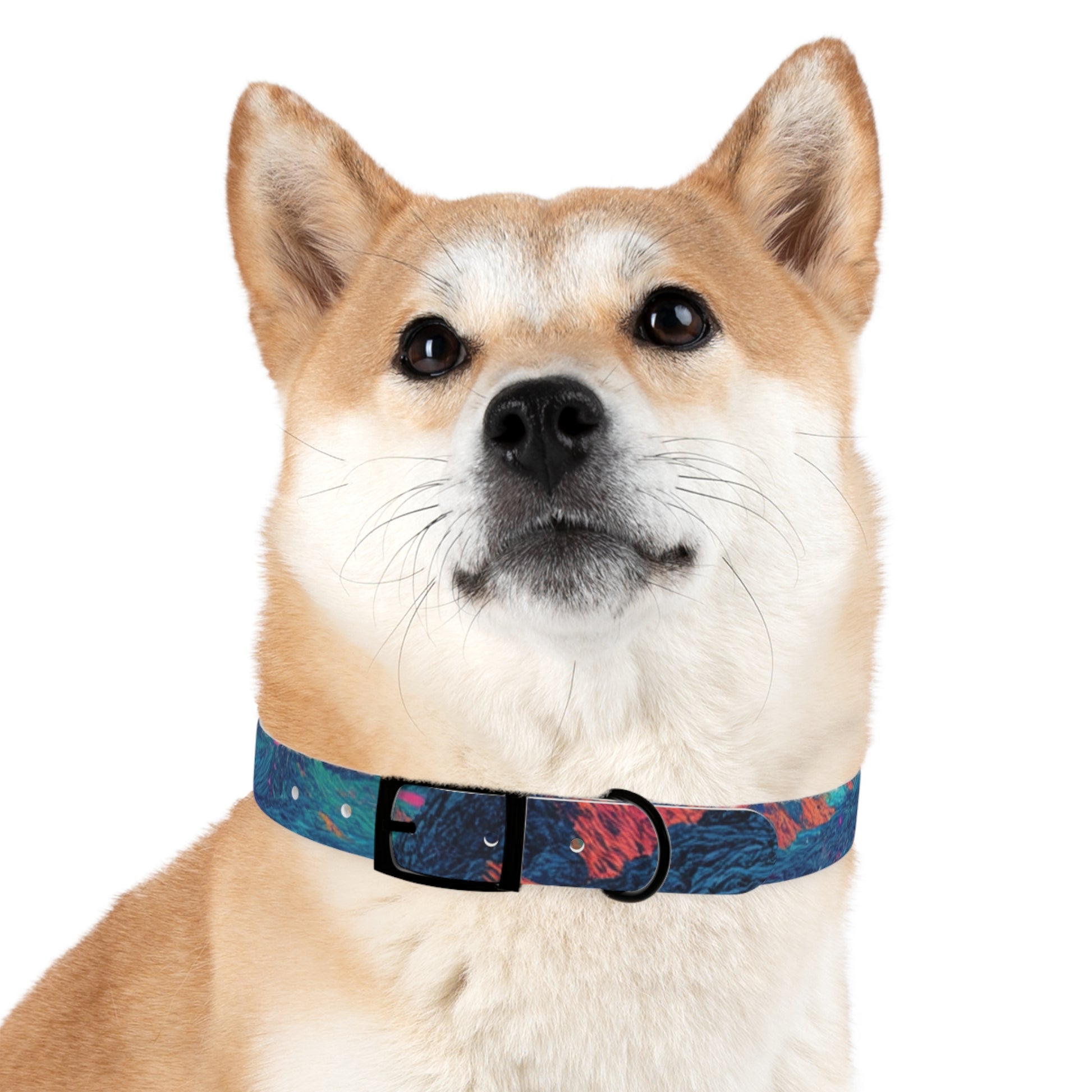 Colorful Dog Collar, Adjustable Pet Accessory, Stylish Dog Leash, Unique Canine Fashion, Trendy Pet Gift, Vibrant Dogwear