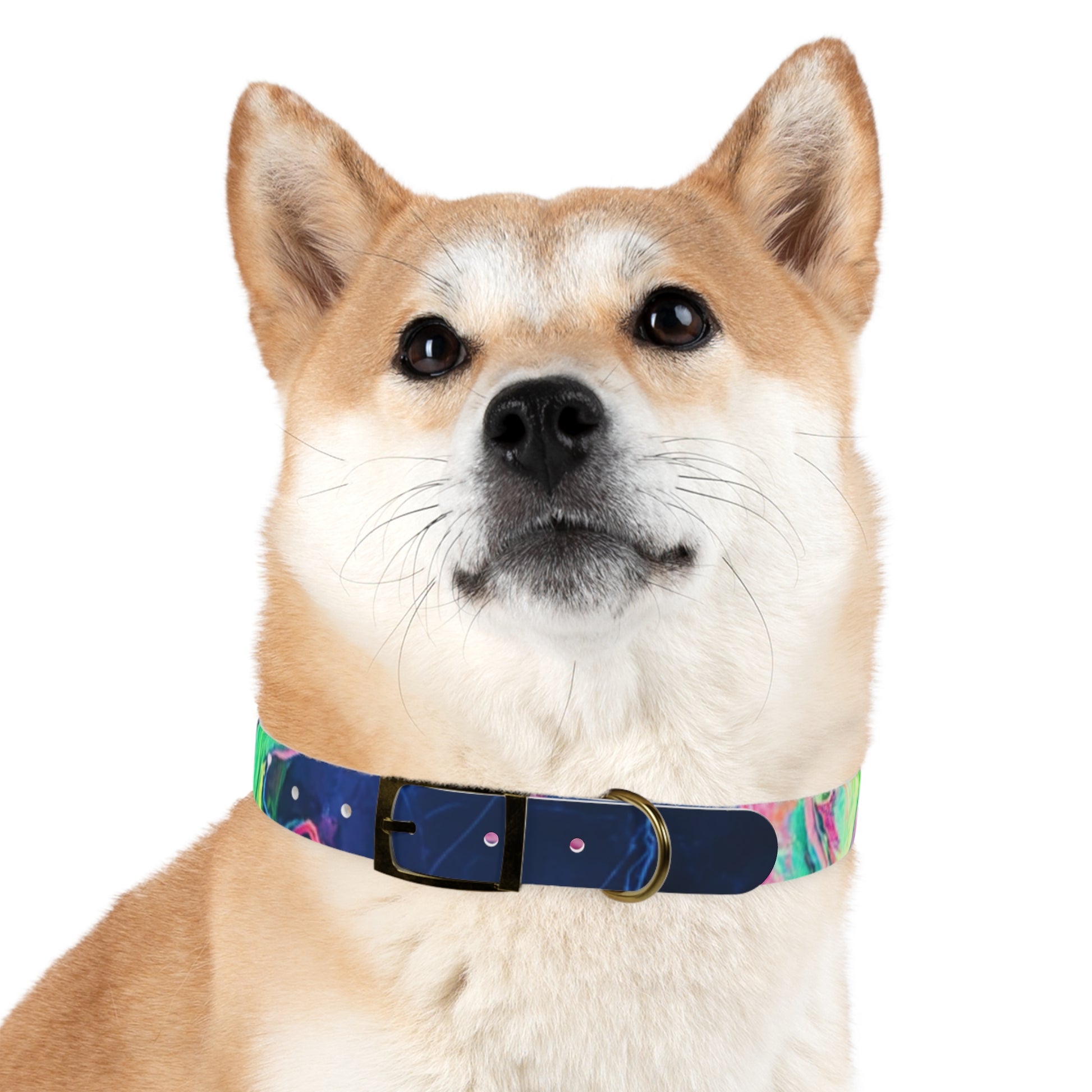 Colorful Dog Collar, Custom Pet Accessories, Eco-Friendly Dog Gear, Dog Lovers Gift, Vibrant Canine Fashion