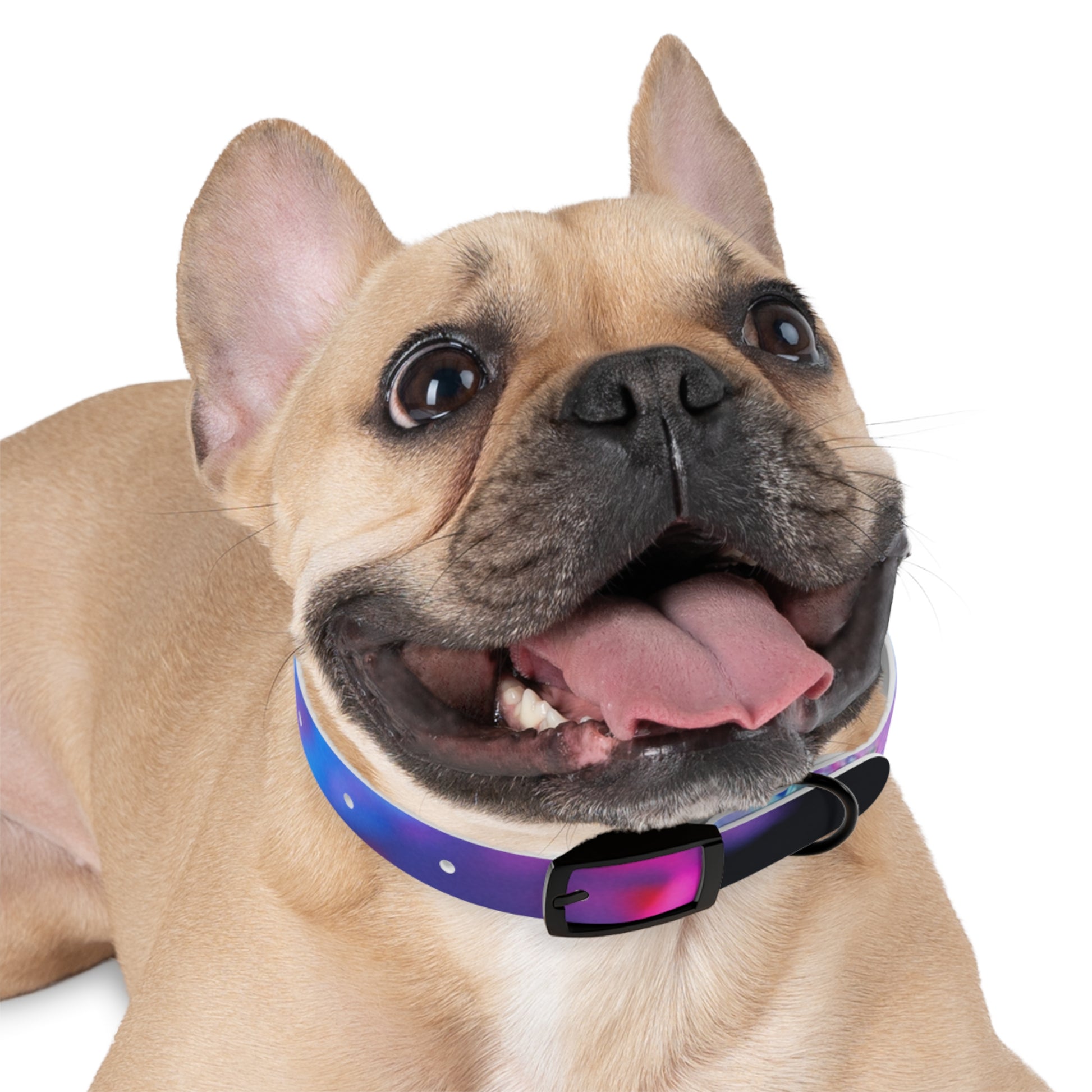 Colorful Artistic Dog Collar, Pet Accessory, Adjustable Collar, Dog Gift, Puppy Fashion, Dog Owner Gift