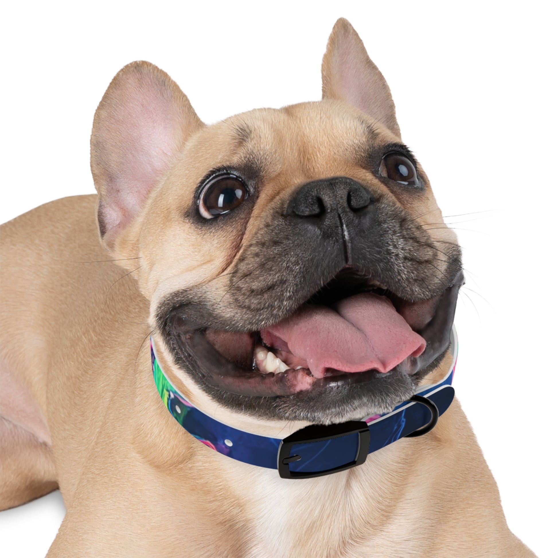 Colorful Dog Collar, Custom Pet Accessories, Eco-Friendly Dog Gear, Dog Lovers Gift, Vibrant Canine Fashion