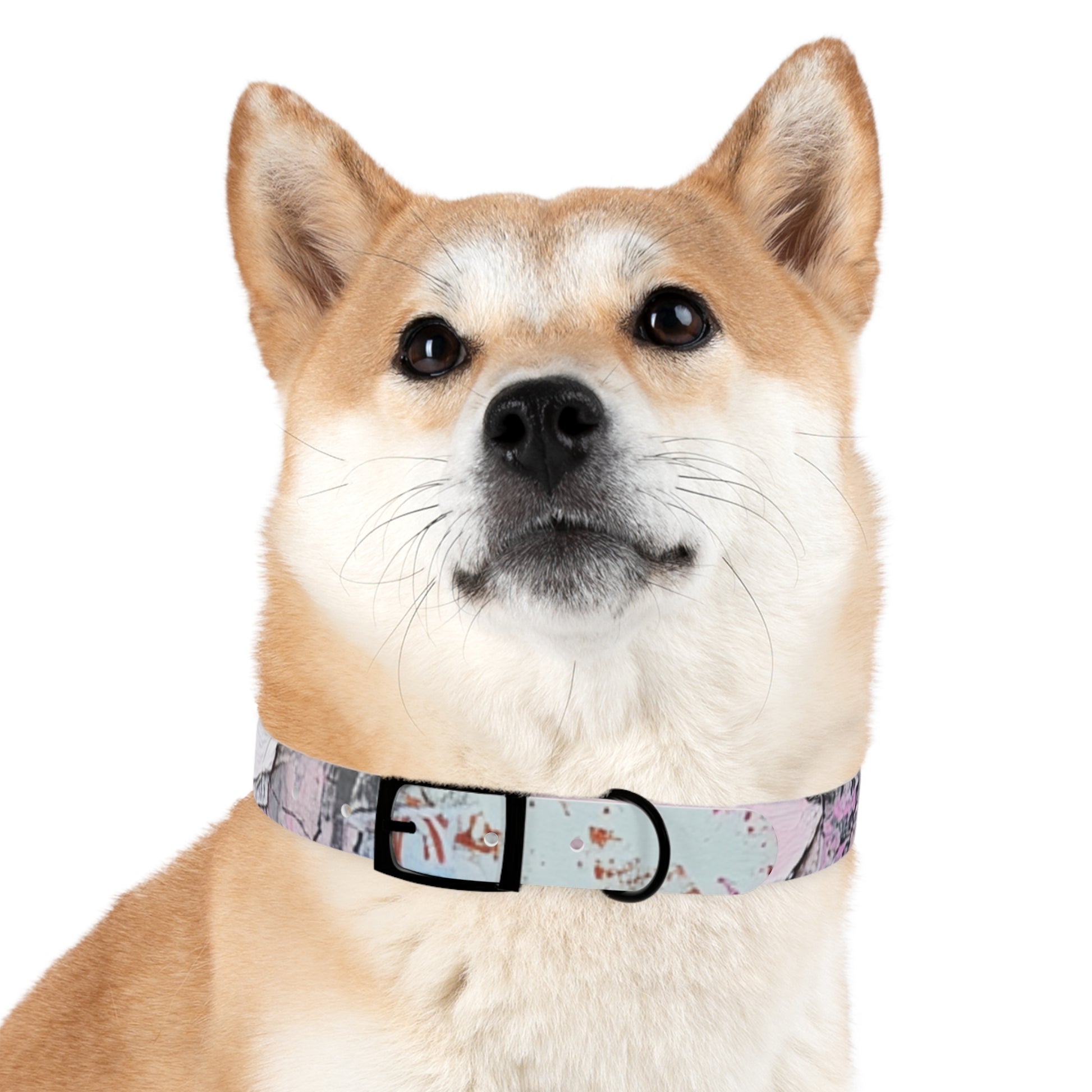 Stylish Dog Collar with Artistic Design, Pet Accessory for Dog Lovers, Customizable Collar for Holidays, Gift for Pets, Unique Pet [...]