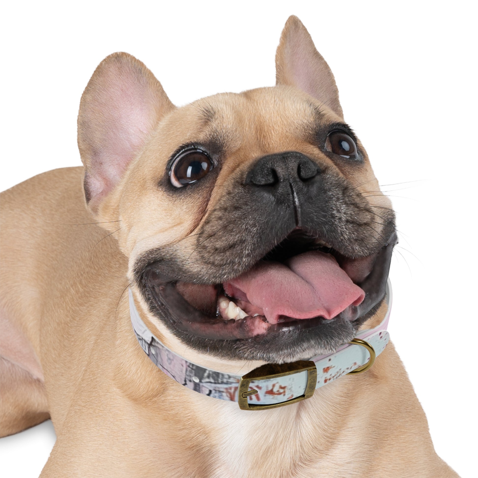 Stylish Dog Collar with Artistic Design, Pet Accessory for Dog Lovers, Customizable Collar for Holidays, Gift for Pets, Unique Pet [...]
