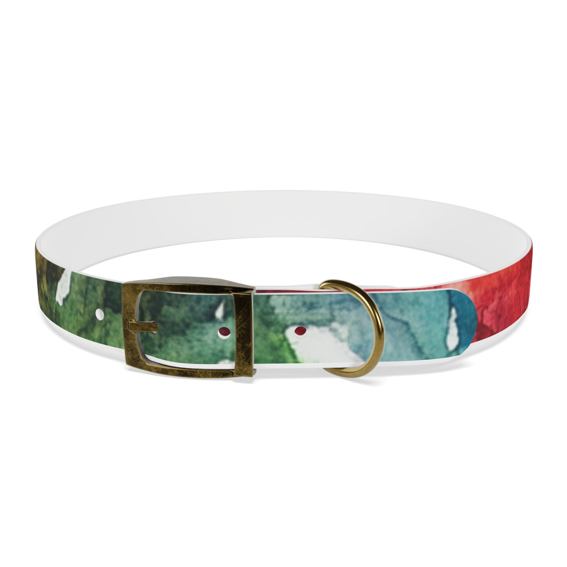 Vibrant Dog Collar for Stylish Pets, Pet Gift, Dog Fashion Accessory, Adjustable Dog Leash, Unique Pet Wear