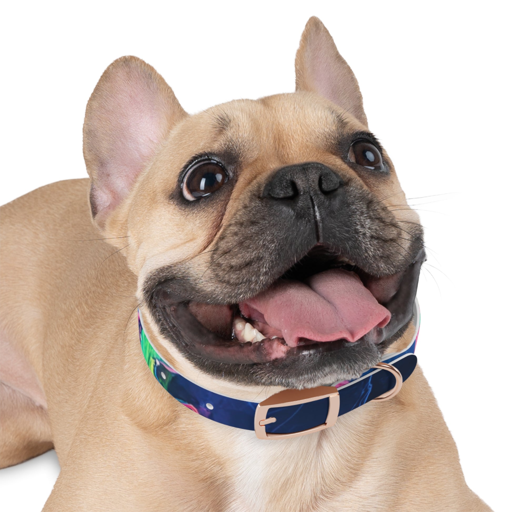 Colorful Dog Collar, Custom Pet Accessories, Eco-Friendly Dog Gear, Dog Lovers Gift, Vibrant Canine Fashion