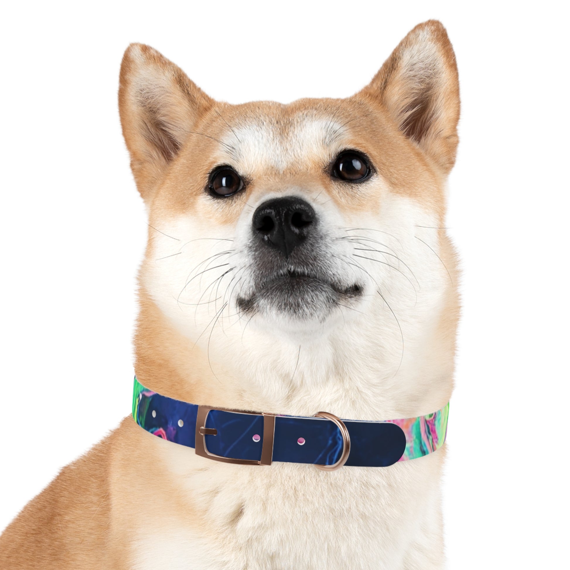 Colorful Dog Collar, Custom Pet Accessories, Eco-Friendly Dog Gear, Dog Lovers Gift, Vibrant Canine Fashion