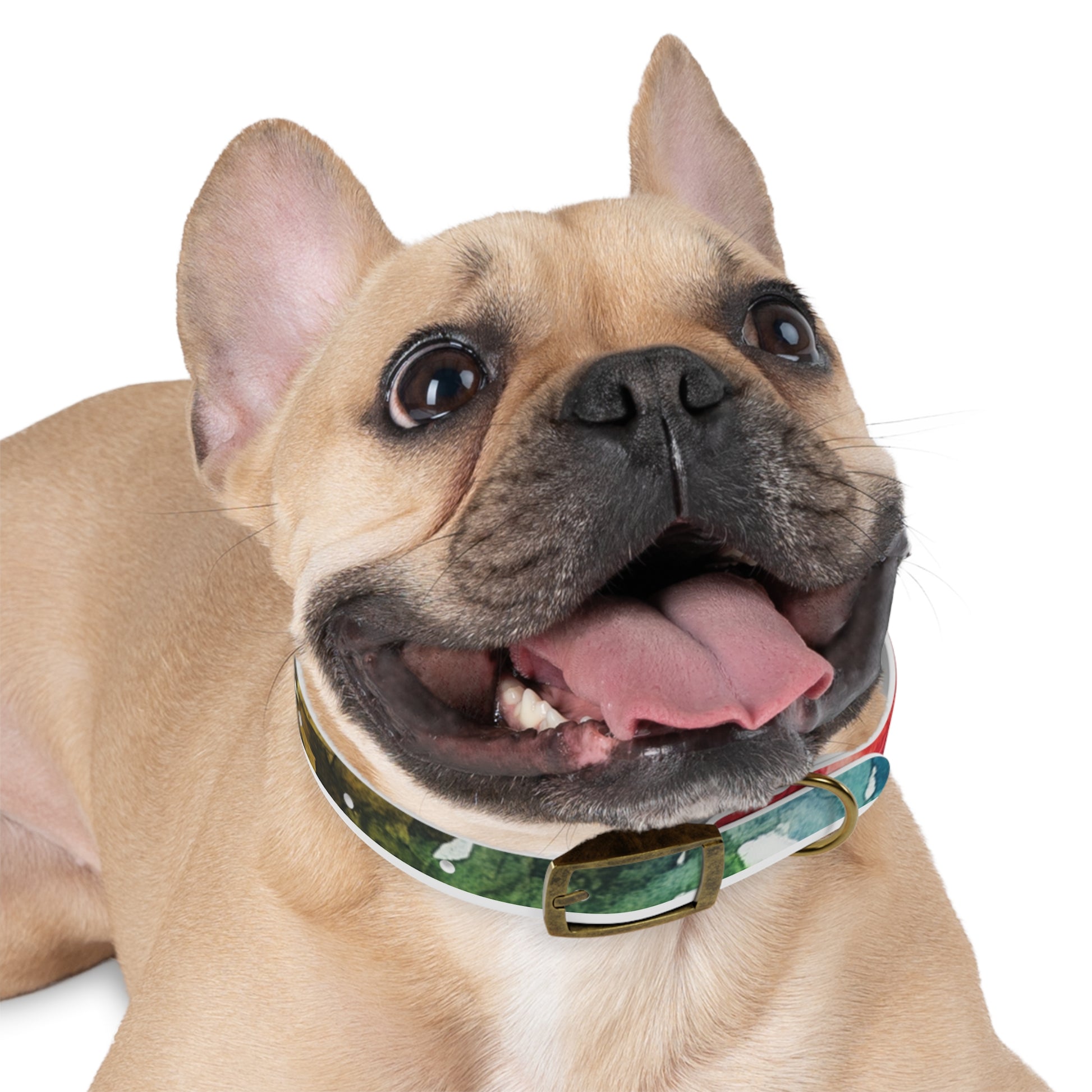 Vibrant Dog Collar for Stylish Pets, Pet Gift, Dog Fashion Accessory, Adjustable Dog Leash, Unique Pet Wear