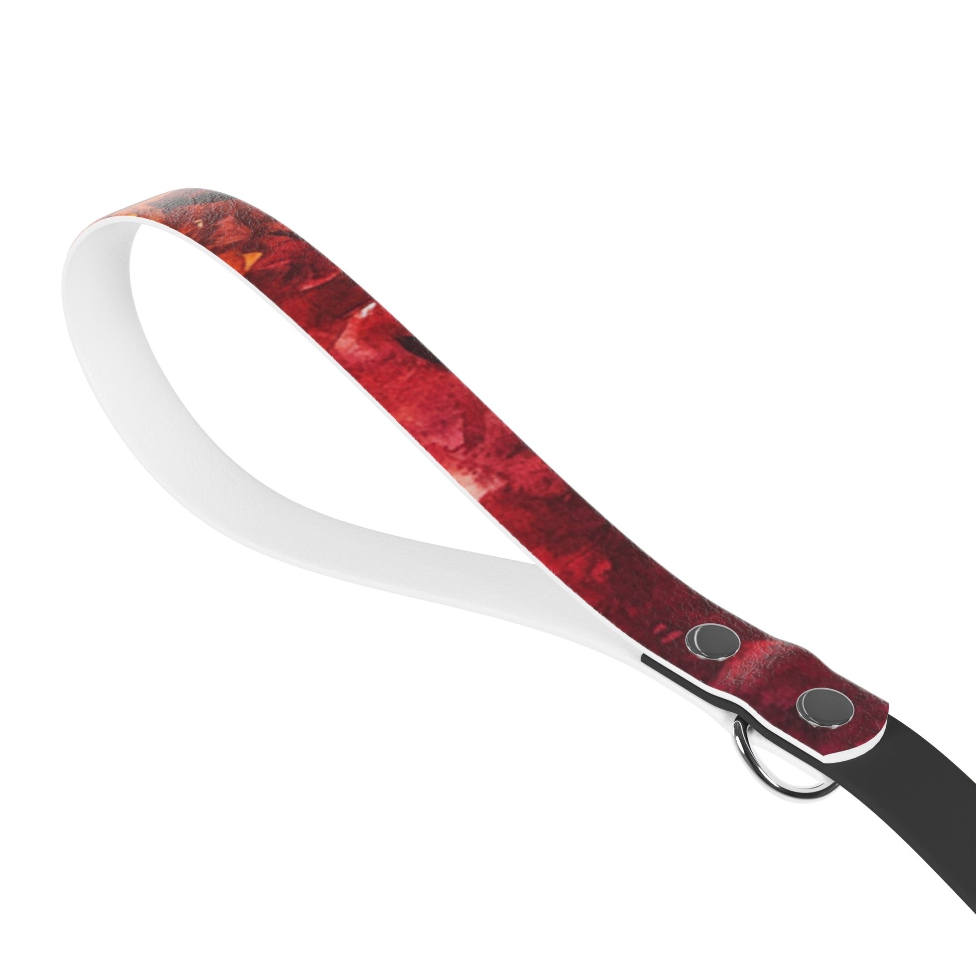 Vibrant Dog Leash - Colorful Pet Accessory, Dog Walking Gear, Outdoor Adventure Essential, Perfect for Dog Lovers, Stylish Pet Supply