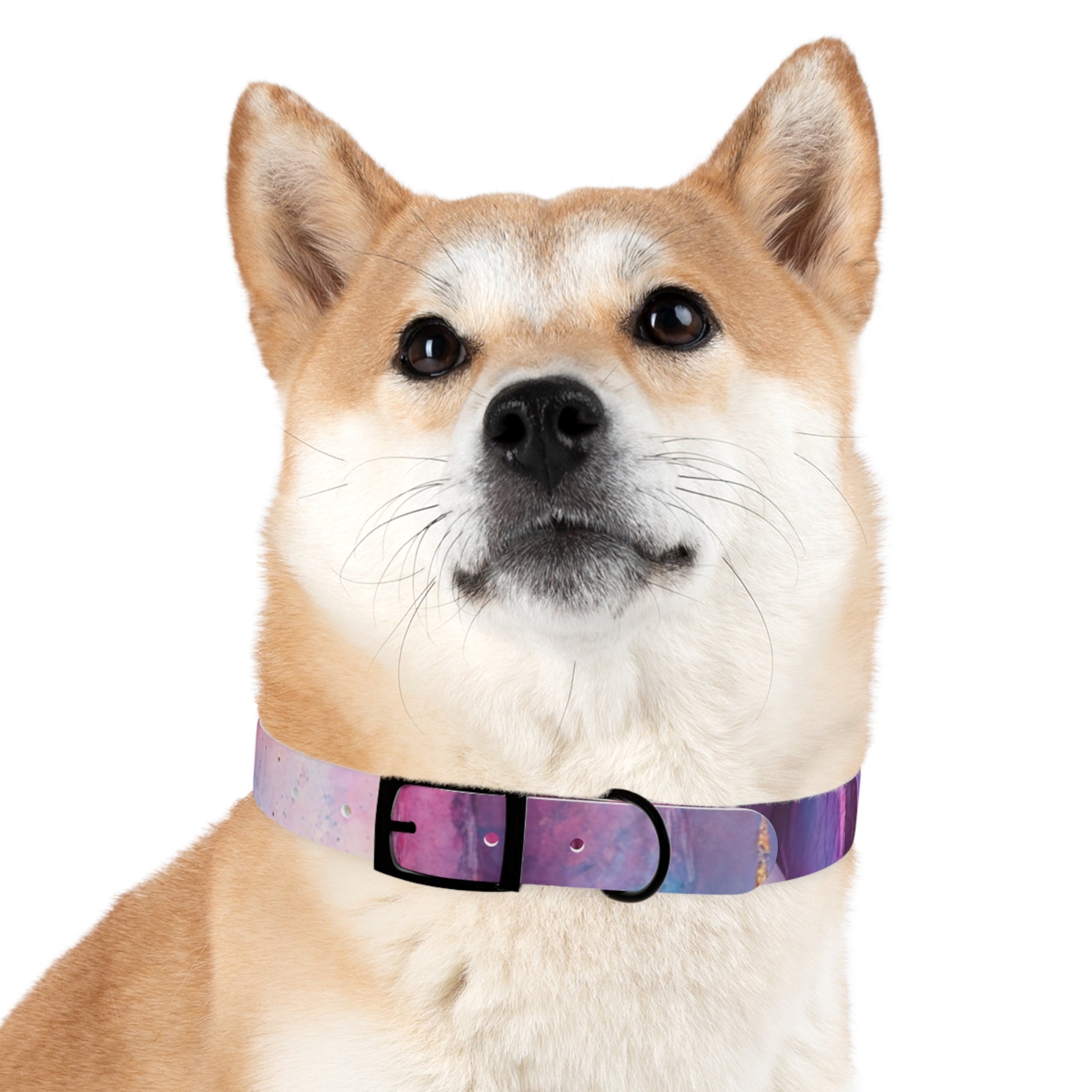 Colorful Cosmic Dog Collar, Stylish Pet Accessory for Dog Lovers, Unique Puppy Gift, Galaxy Print Collar for Special Occasions