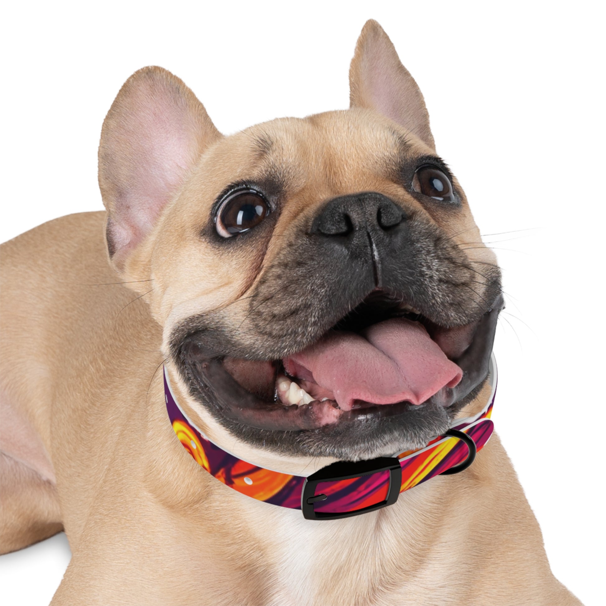 Vibrant Abstract Dog Collar, Colorful Pet Accessory for Dogs, Stylish Dog Gear, Fun Pet Collar, Gift for Dog Lovers