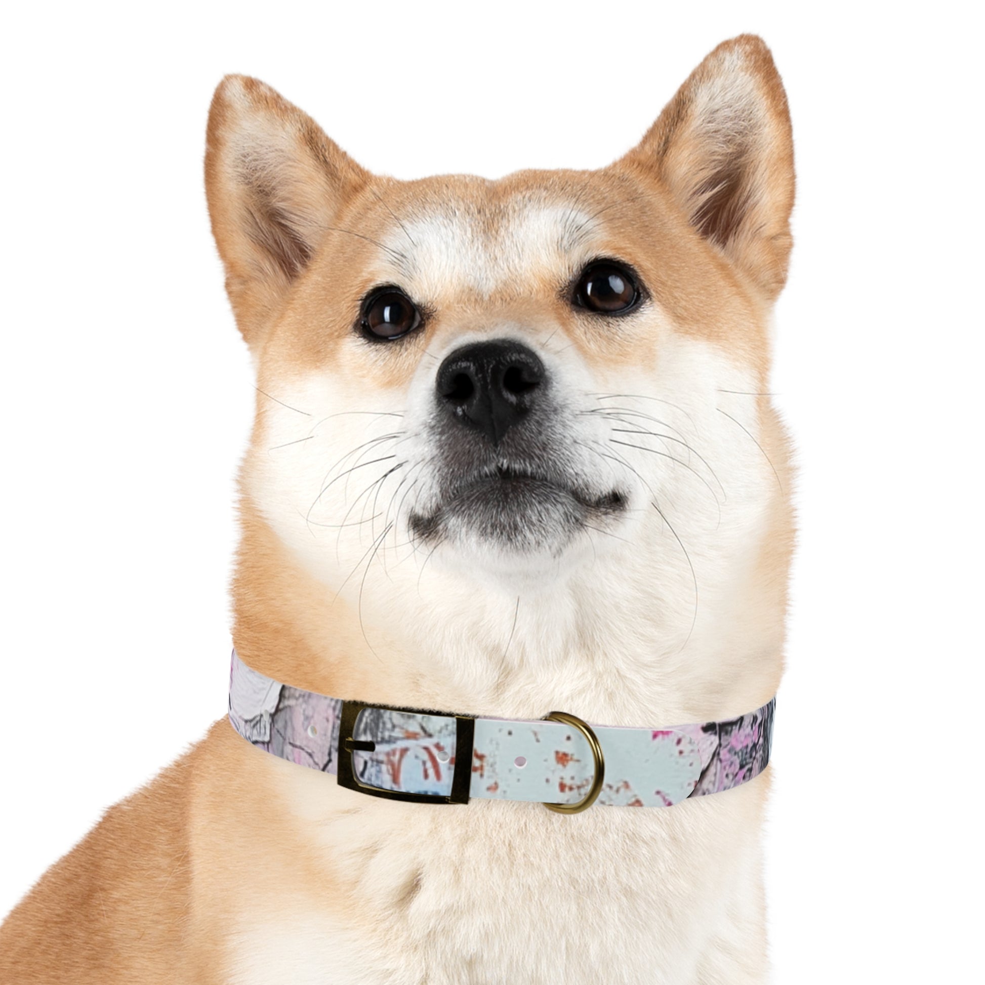 Stylish Dog Collar with Artistic Design, Pet Accessory for Dog Lovers, Customizable Collar for Holidays, Gift for Pets, Unique Pet [...]