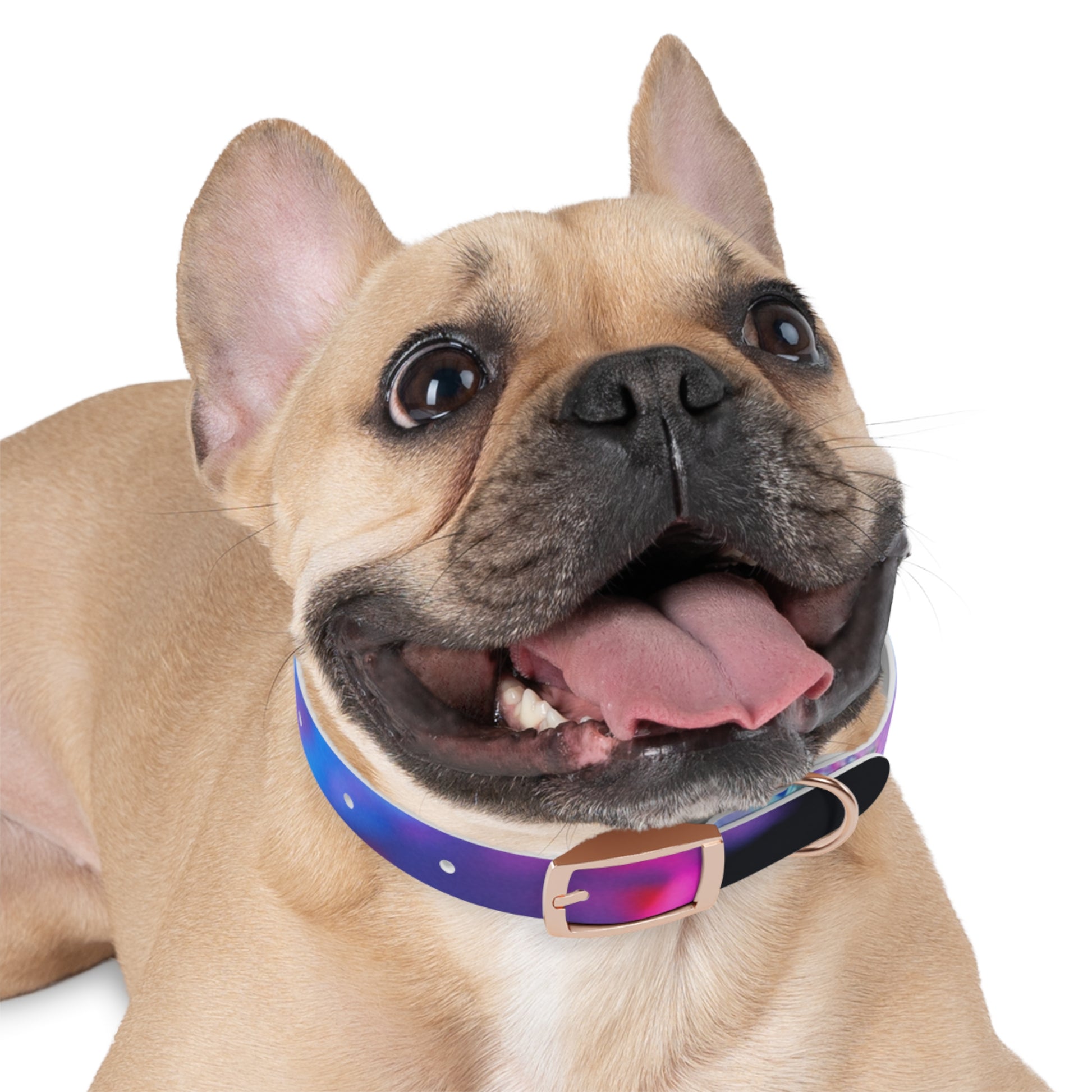 Colorful Artistic Dog Collar, Pet Accessory, Adjustable Collar, Dog Gift, Puppy Fashion, Dog Owner Gift