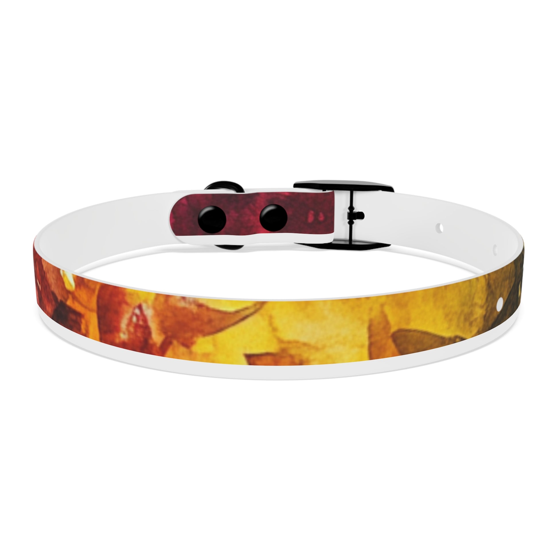 Vibrant Dog Collar for Stylish Pets, Pet Gift, Dog Fashion Accessory, Adjustable Dog Leash, Unique Pet Wear