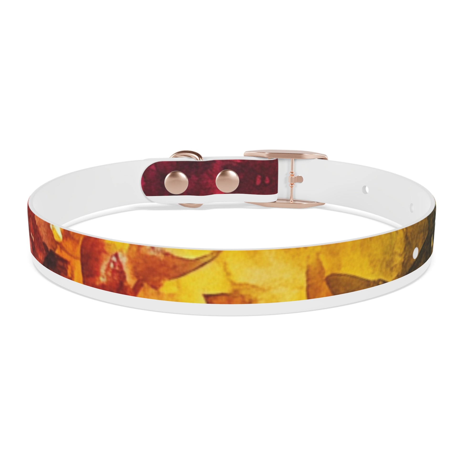 Vibrant Dog Collar for Stylish Pets, Pet Gift, Dog Fashion Accessory, Adjustable Dog Leash, Unique Pet Wear