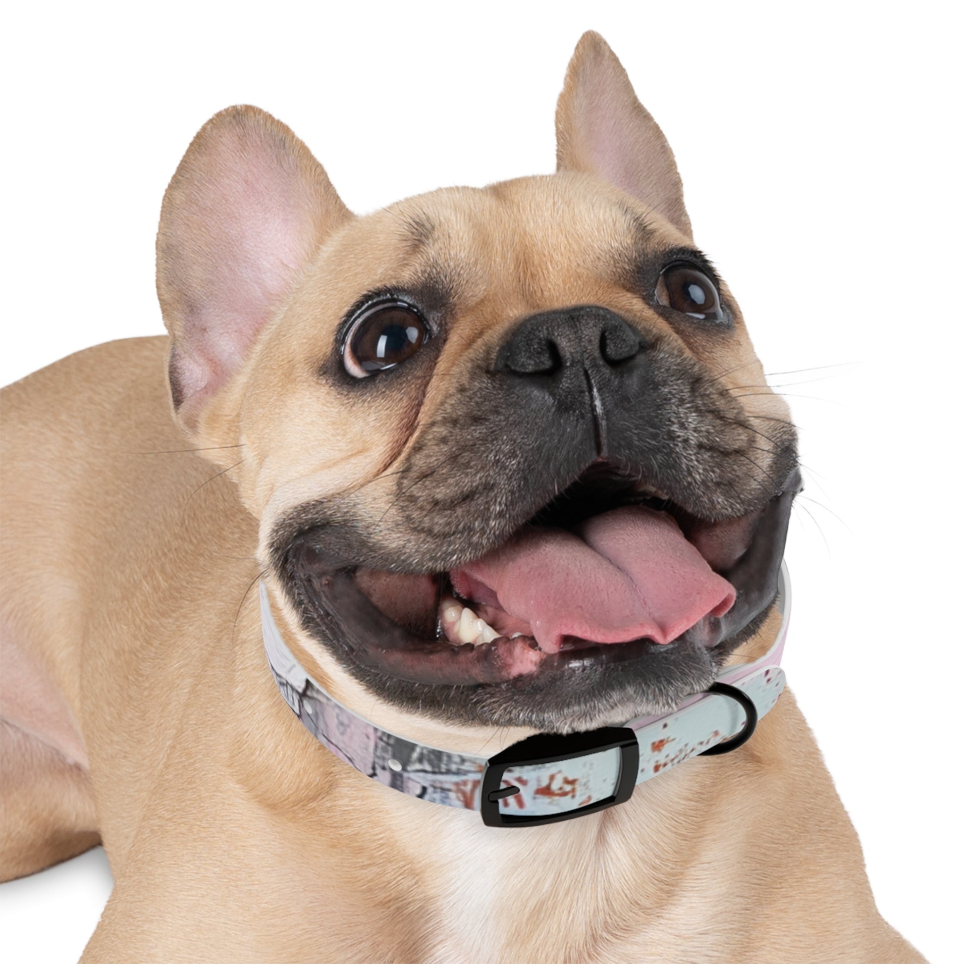 Stylish Dog Collar with Artistic Design, Pet Accessory for Dog Lovers, Customizable Collar for Holidays, Gift for Pets, Unique Pet [...]