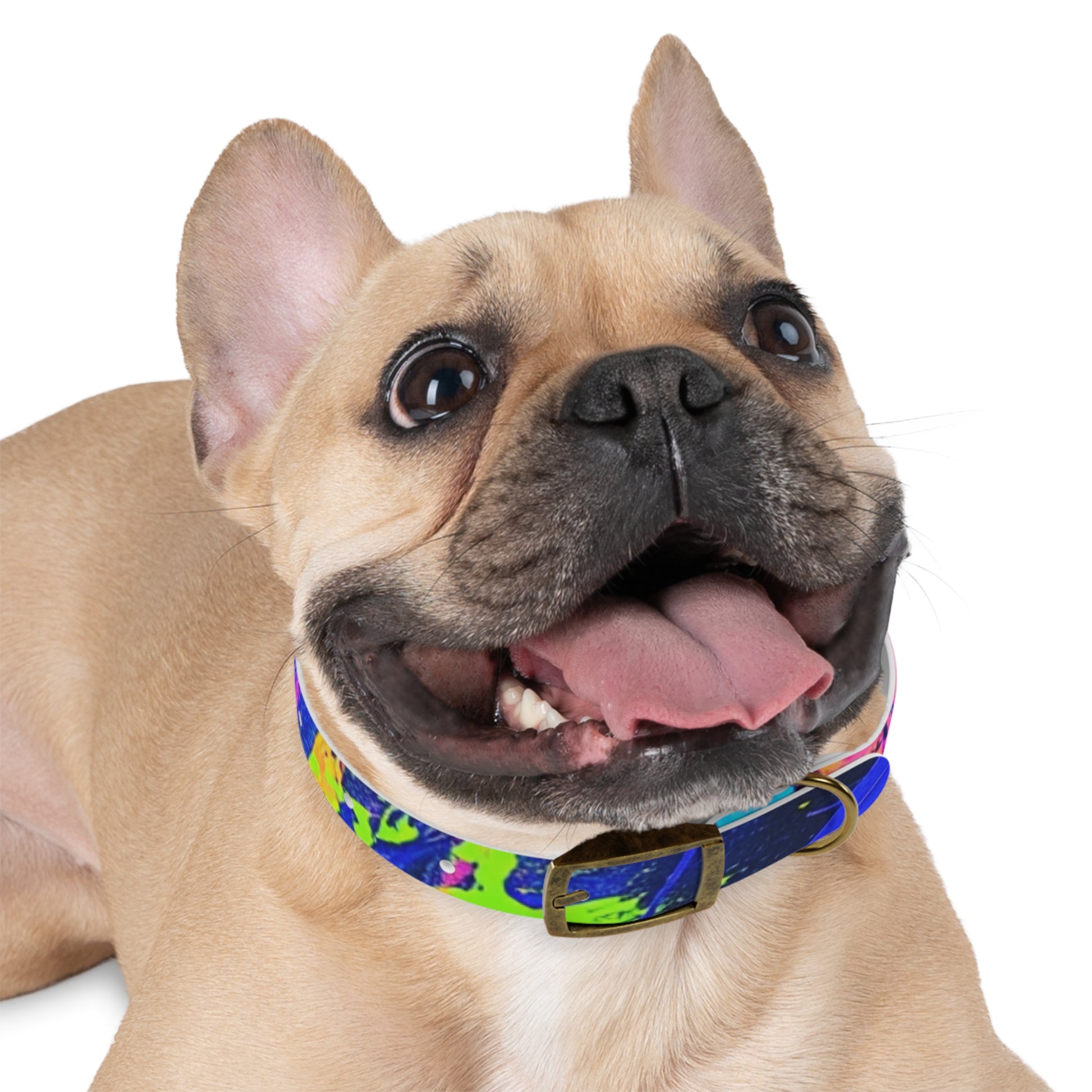 Vibrant Dog Collar - Adjustable Pet Accessory, Colorful Pet Collar for Small and Large Dogs, Fun Dog Gear, Unique Dog Gift, Pet Fashion