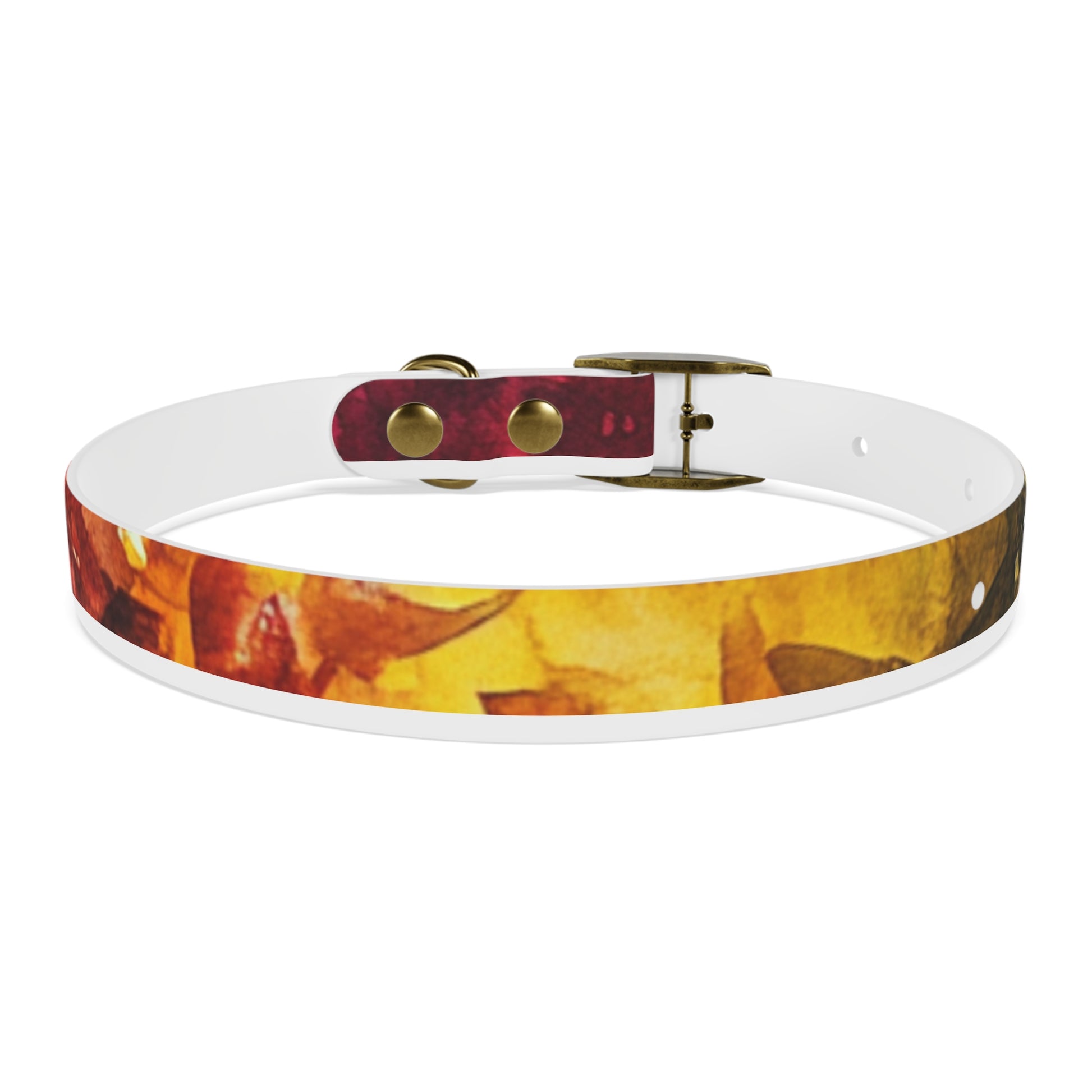 Vibrant Dog Collar for Stylish Pets, Pet Gift, Dog Fashion Accessory, Adjustable Dog Leash, Unique Pet Wear