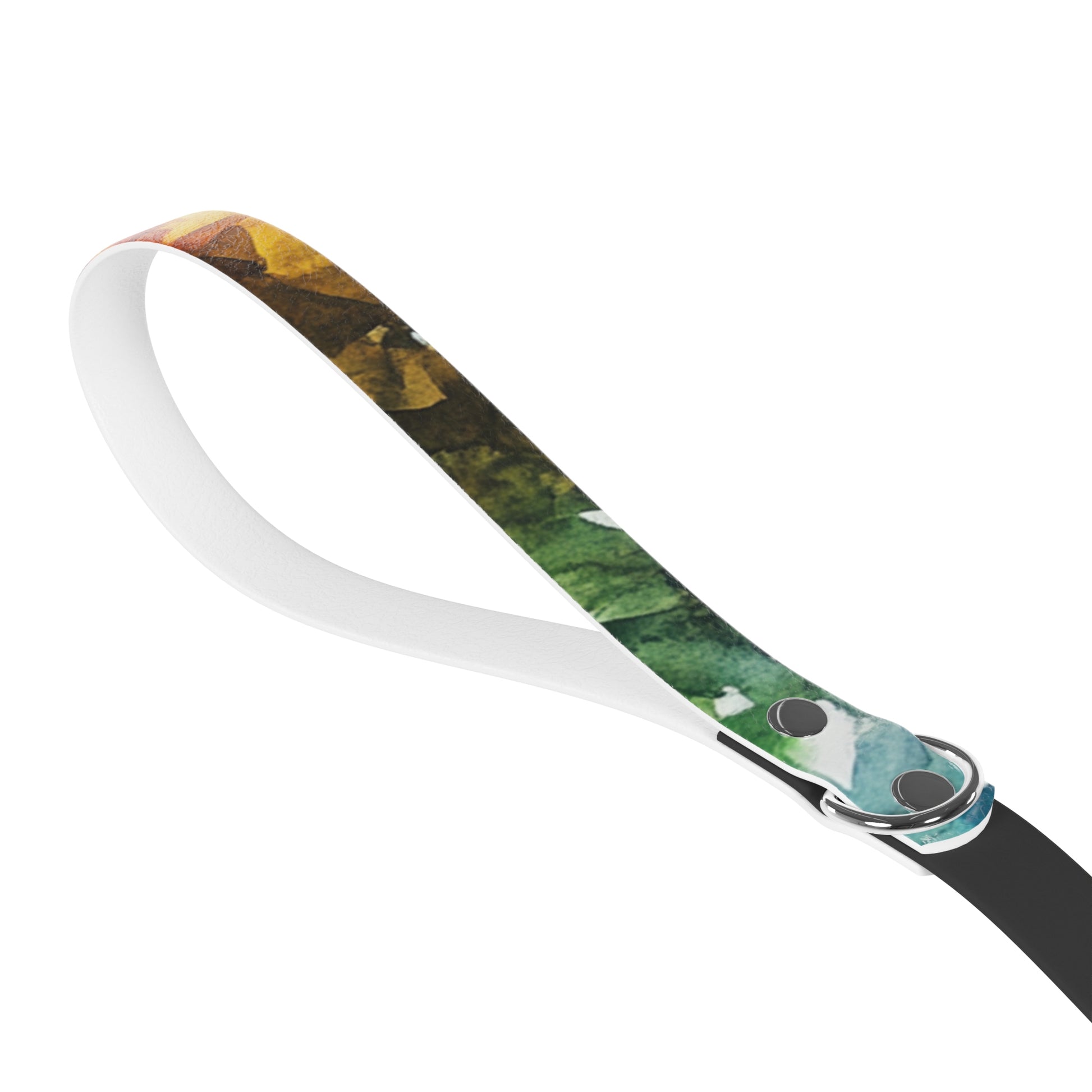 Vibrant Dog Leash - Colorful Pet Accessory, Dog Walking Gear, Outdoor Adventure Essential, Perfect for Dog Lovers, Stylish Pet Supply