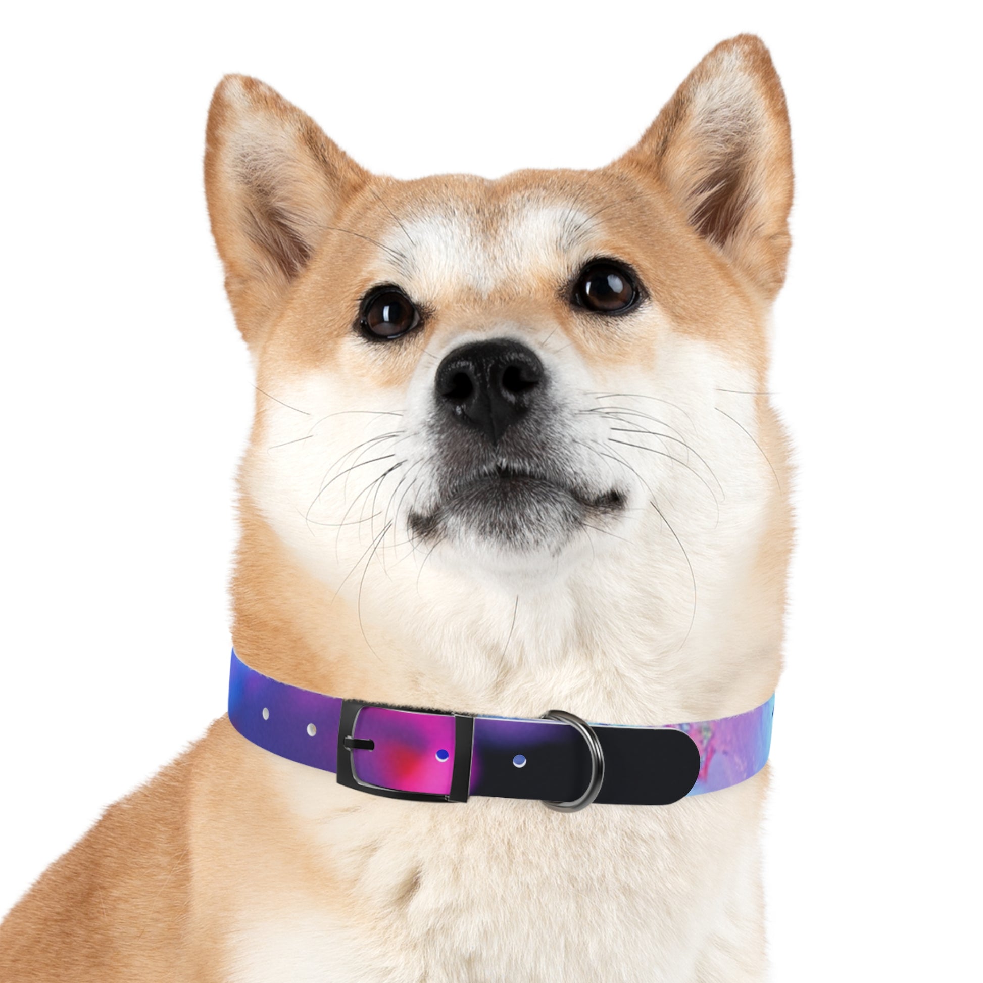 Colorful Artistic Dog Collar, Pet Accessory, Adjustable Collar, Dog Gift, Puppy Fashion, Dog Owner Gift