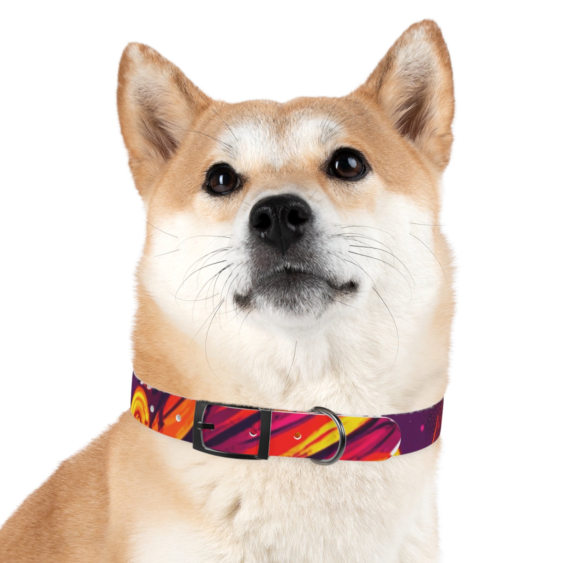 Vibrant Abstract Dog Collar, Colorful Pet Accessory for Dogs, Stylish Dog Gear, Fun Pet Collar, Gift for Dog Lovers